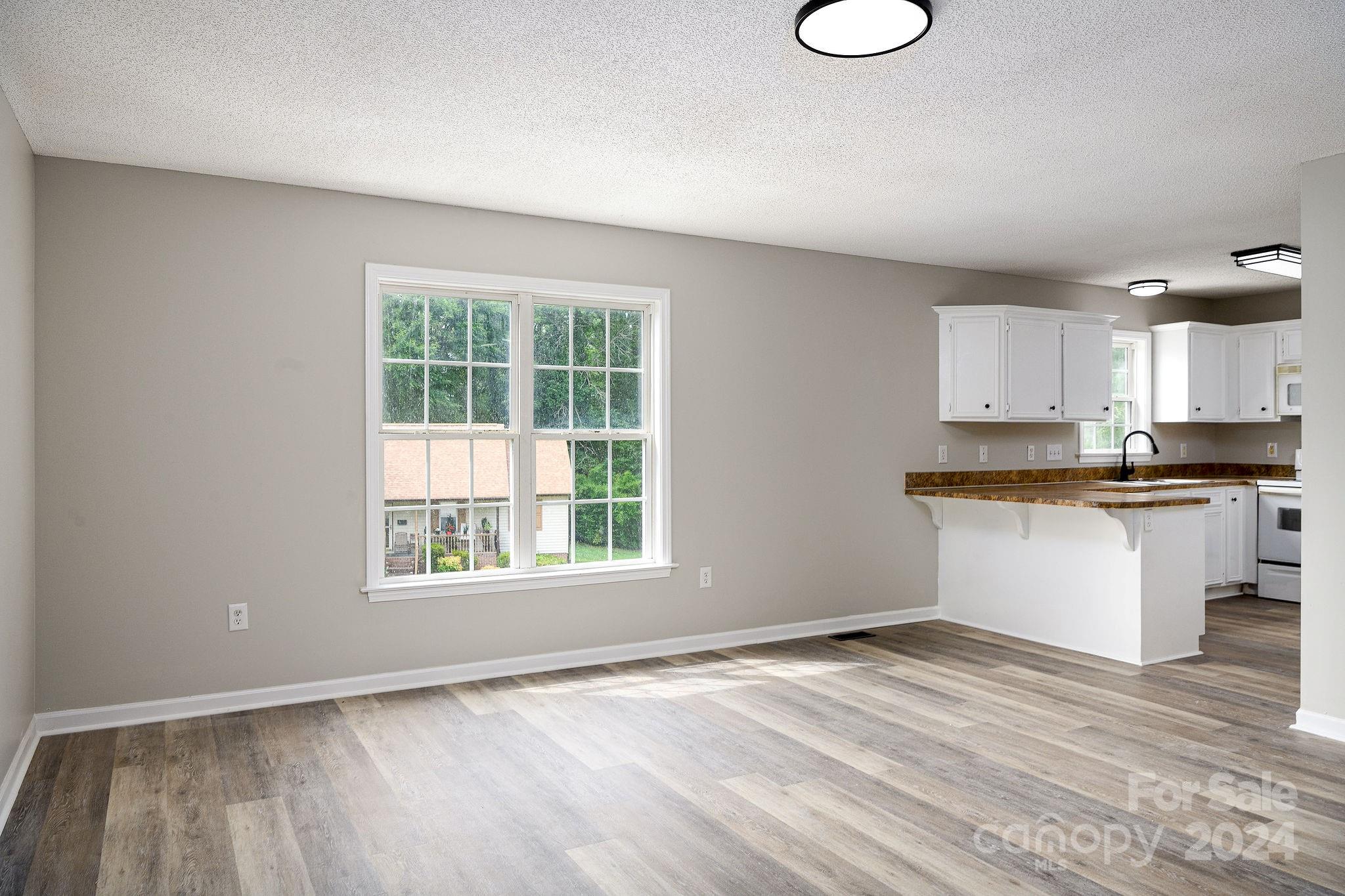 Open-plan living area with wood-look flooring, a large window, and an adjoining white-cabinet kitchen.