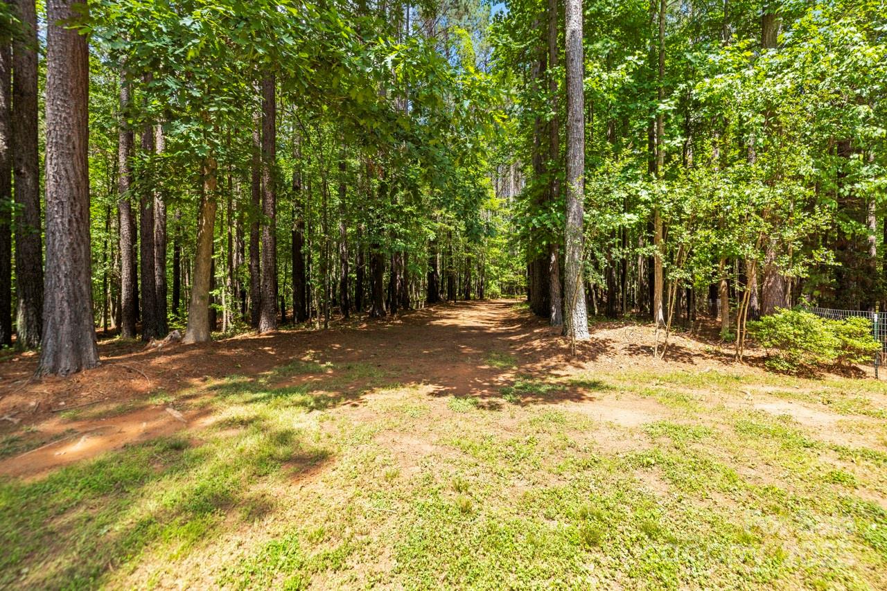 1956 Forest Ridge Drive