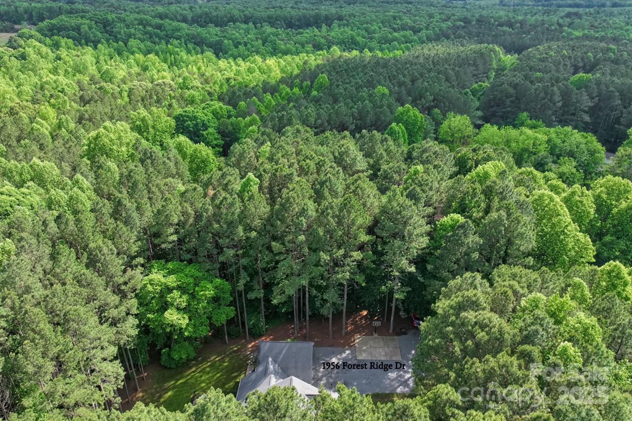 1956 Forest Ridge Drive