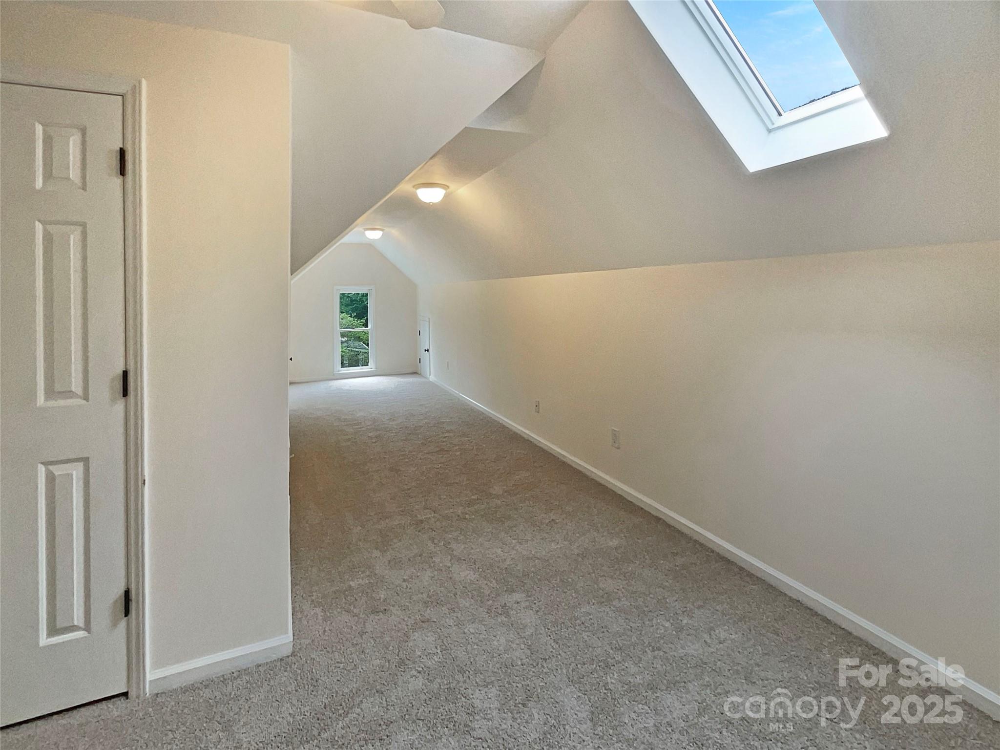 Empty carpeted bonus room with sloped ceilings and a large skylight.