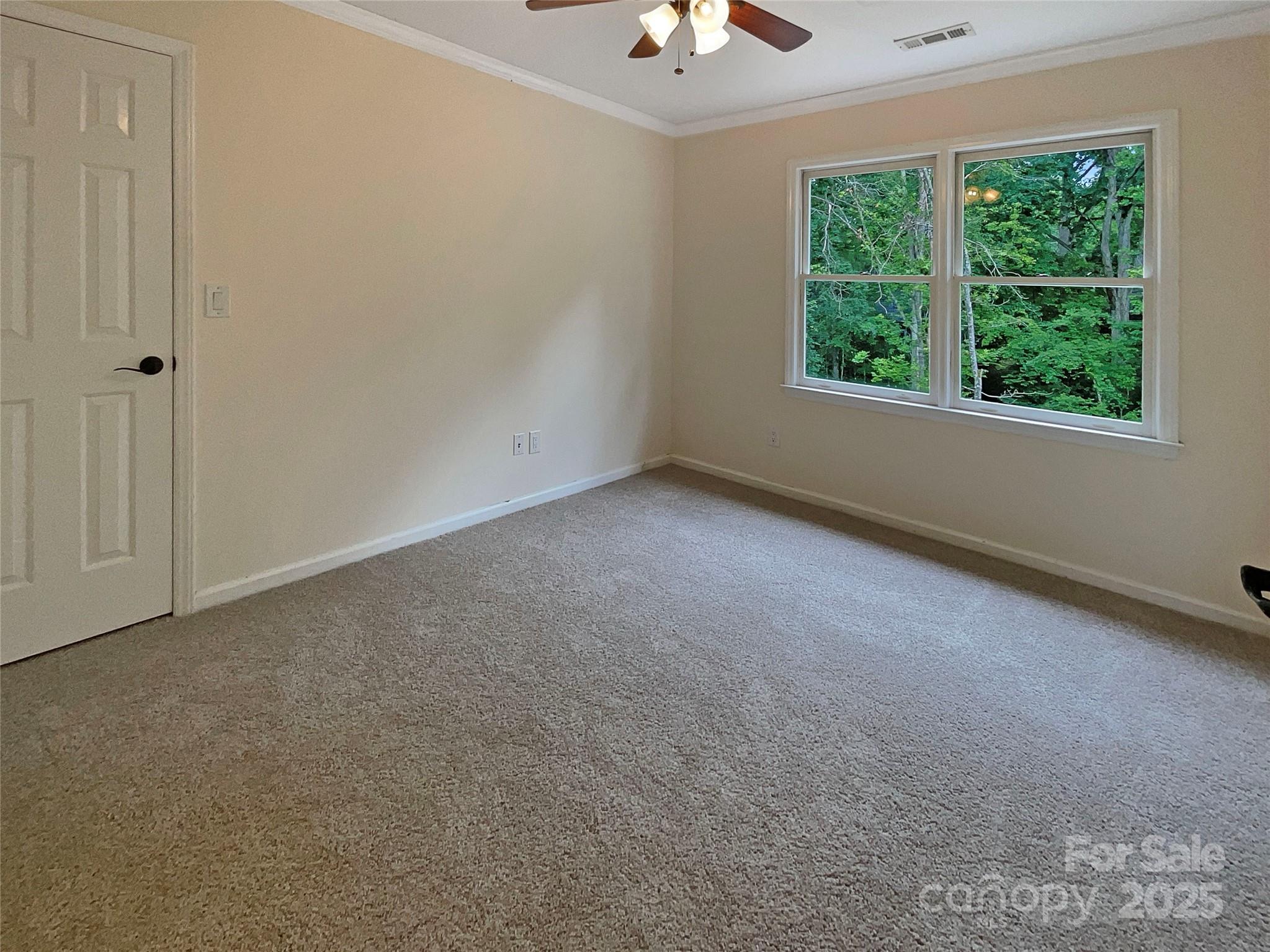 Empty carpeted bedroom with a ceiling fan and windows overlooking trees.
