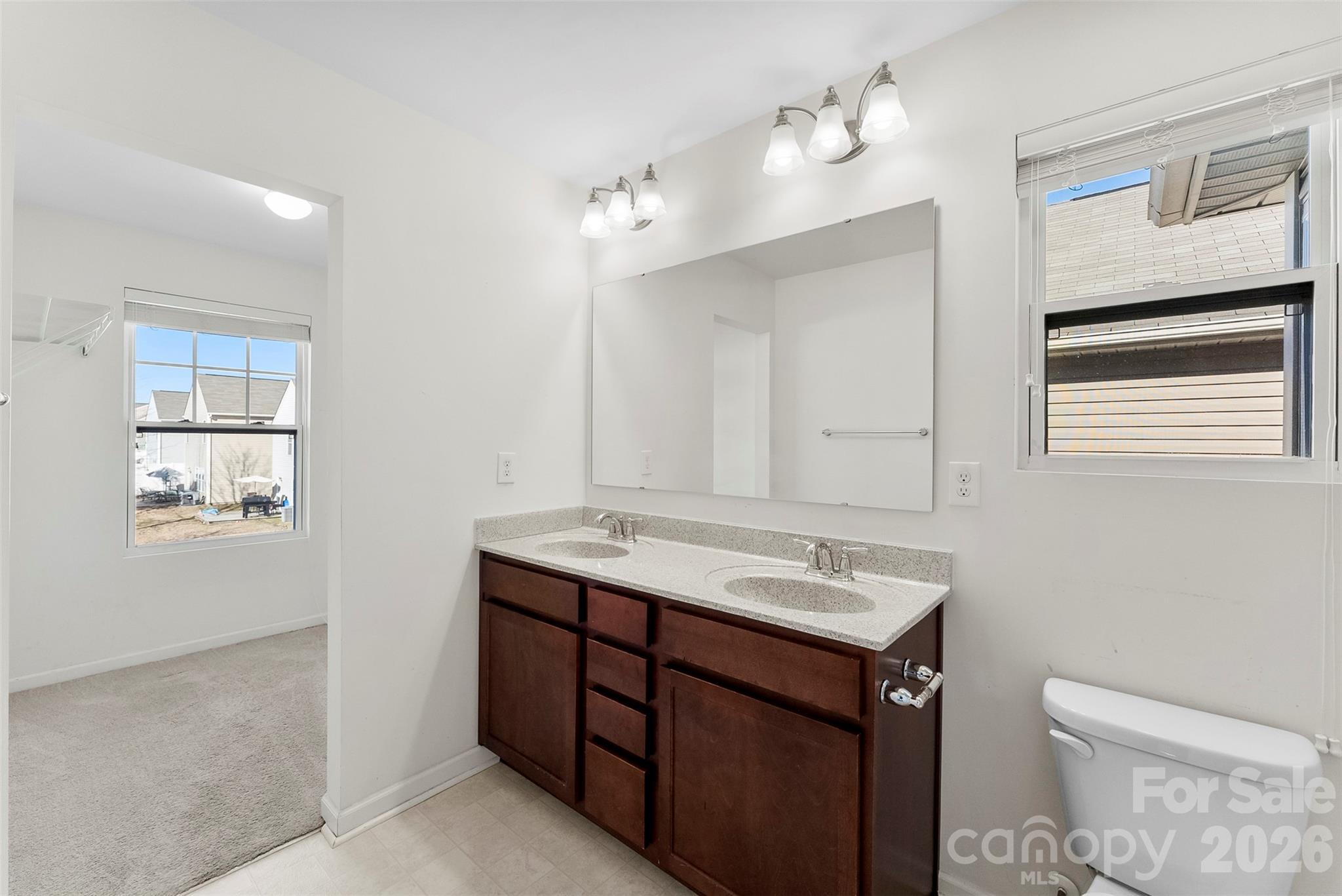 Bathroom with a dark wood double vanity, two sinks, and a large mirror.