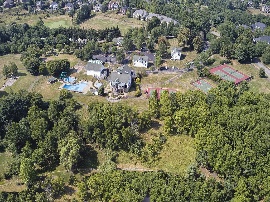 906 Big Bear Court