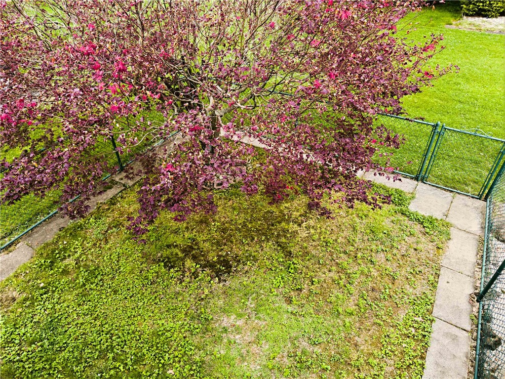 562 Bruton Drive