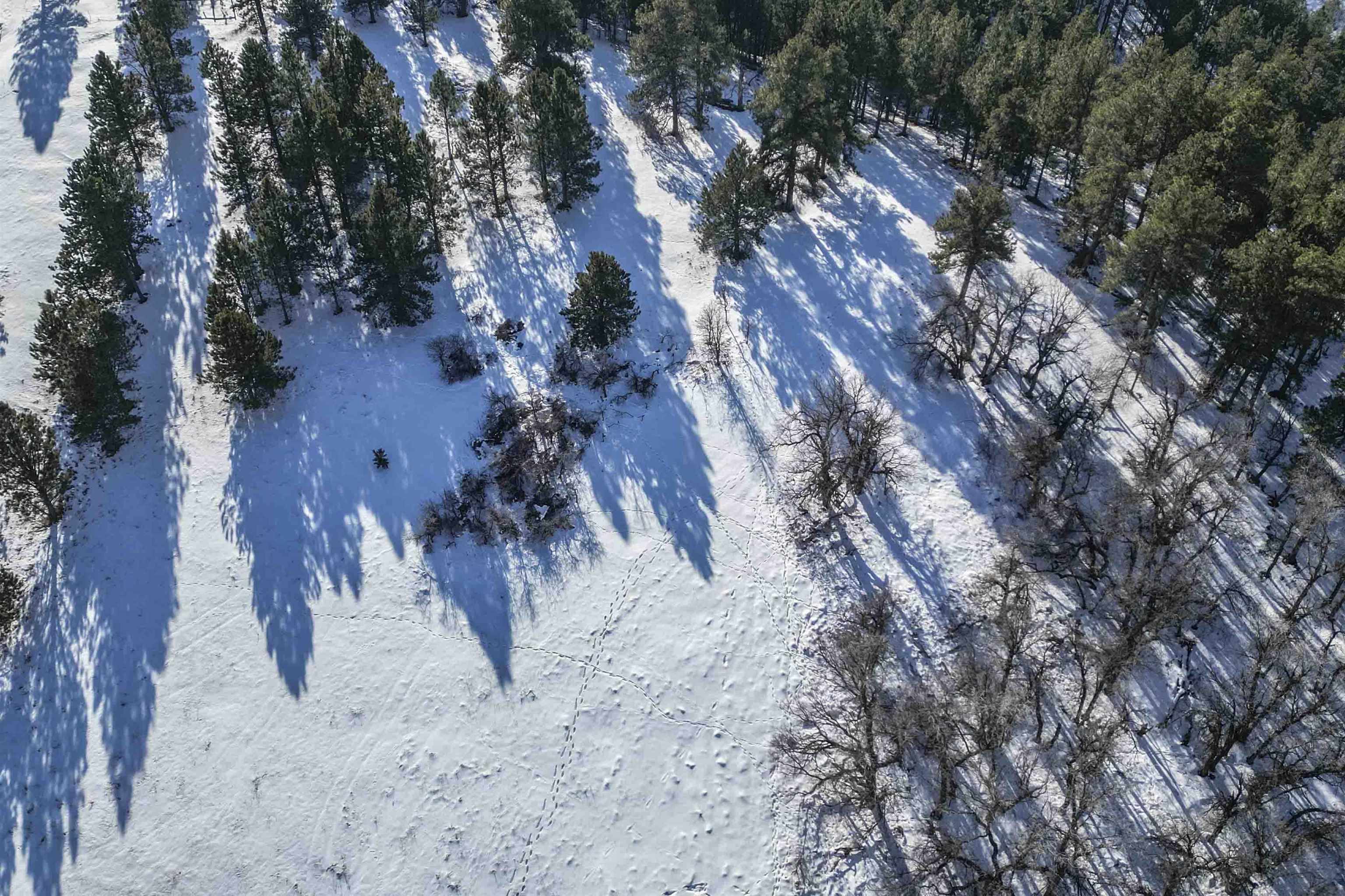 Lot 14 Oak Drive