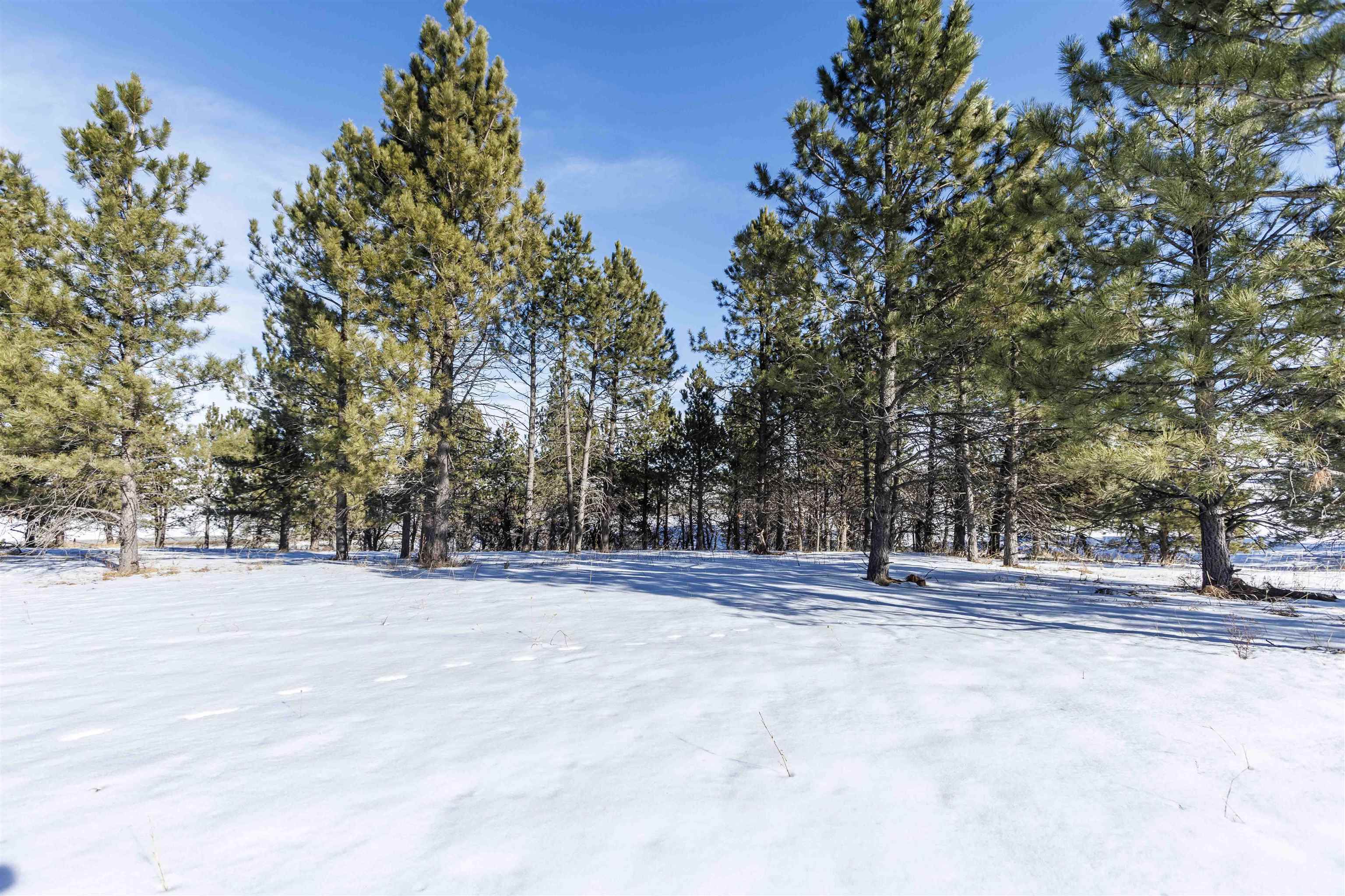 Lot 5 Oak Drive