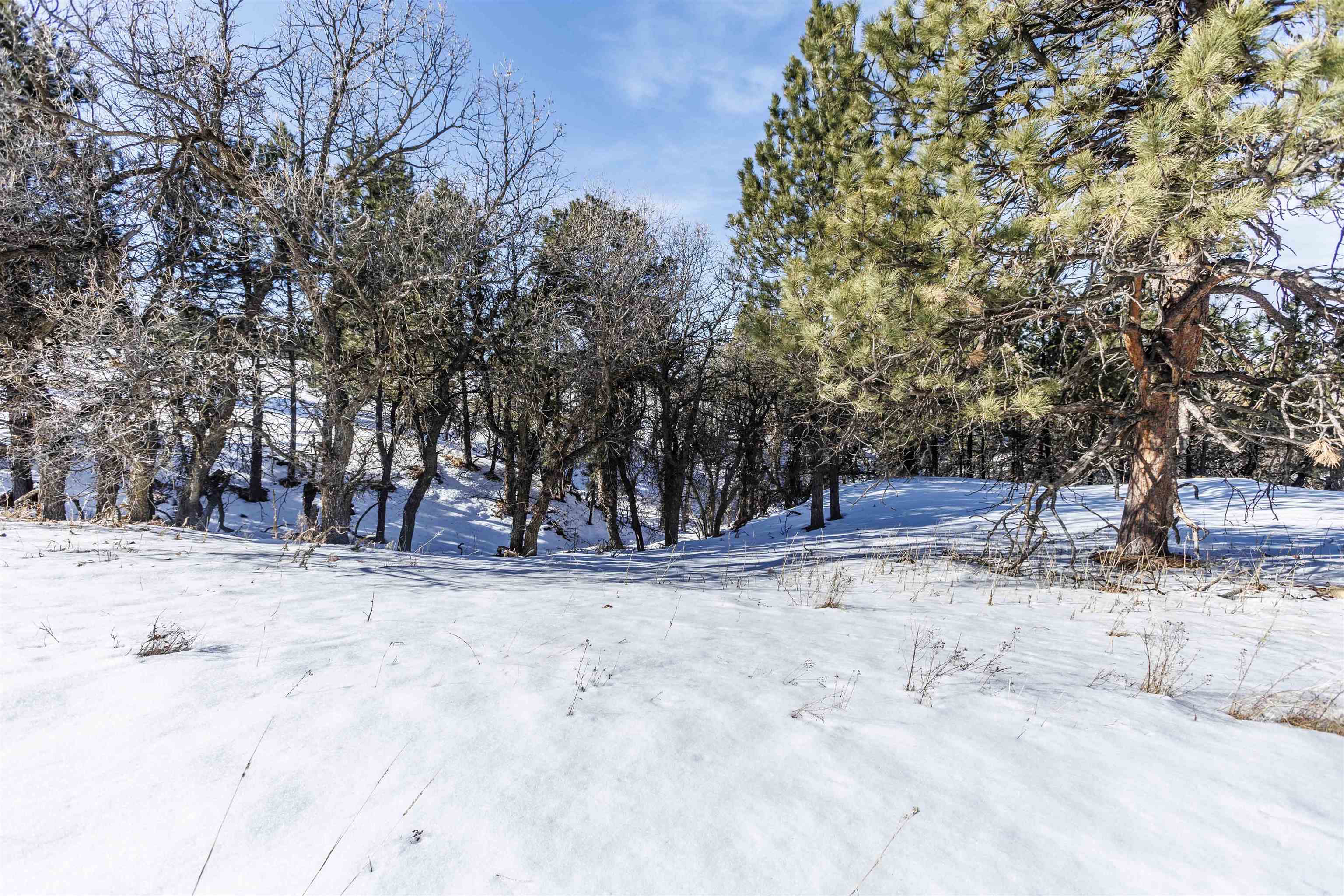 Lot 5 Oak Drive