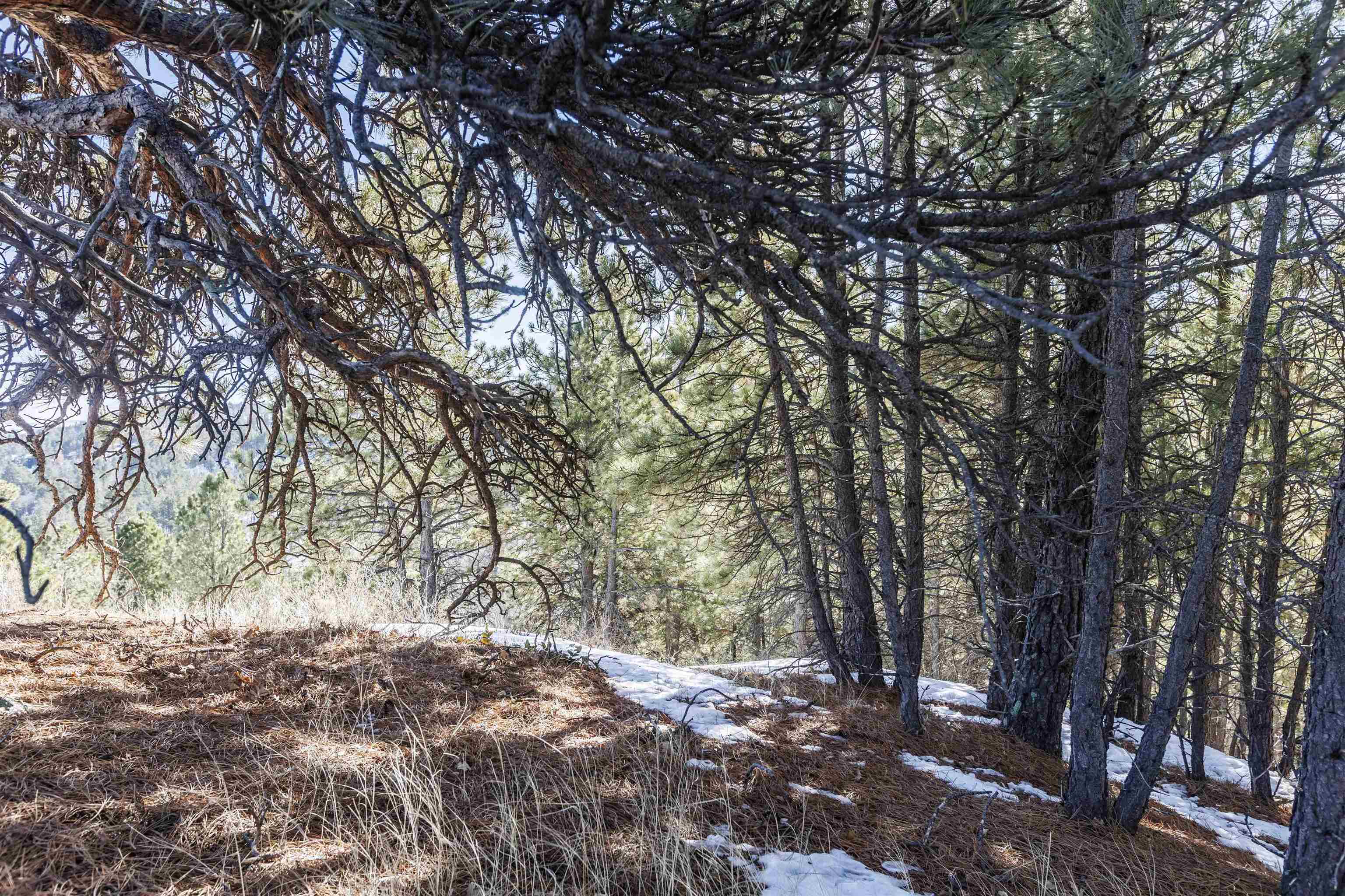 Lot 18 Oak Drive