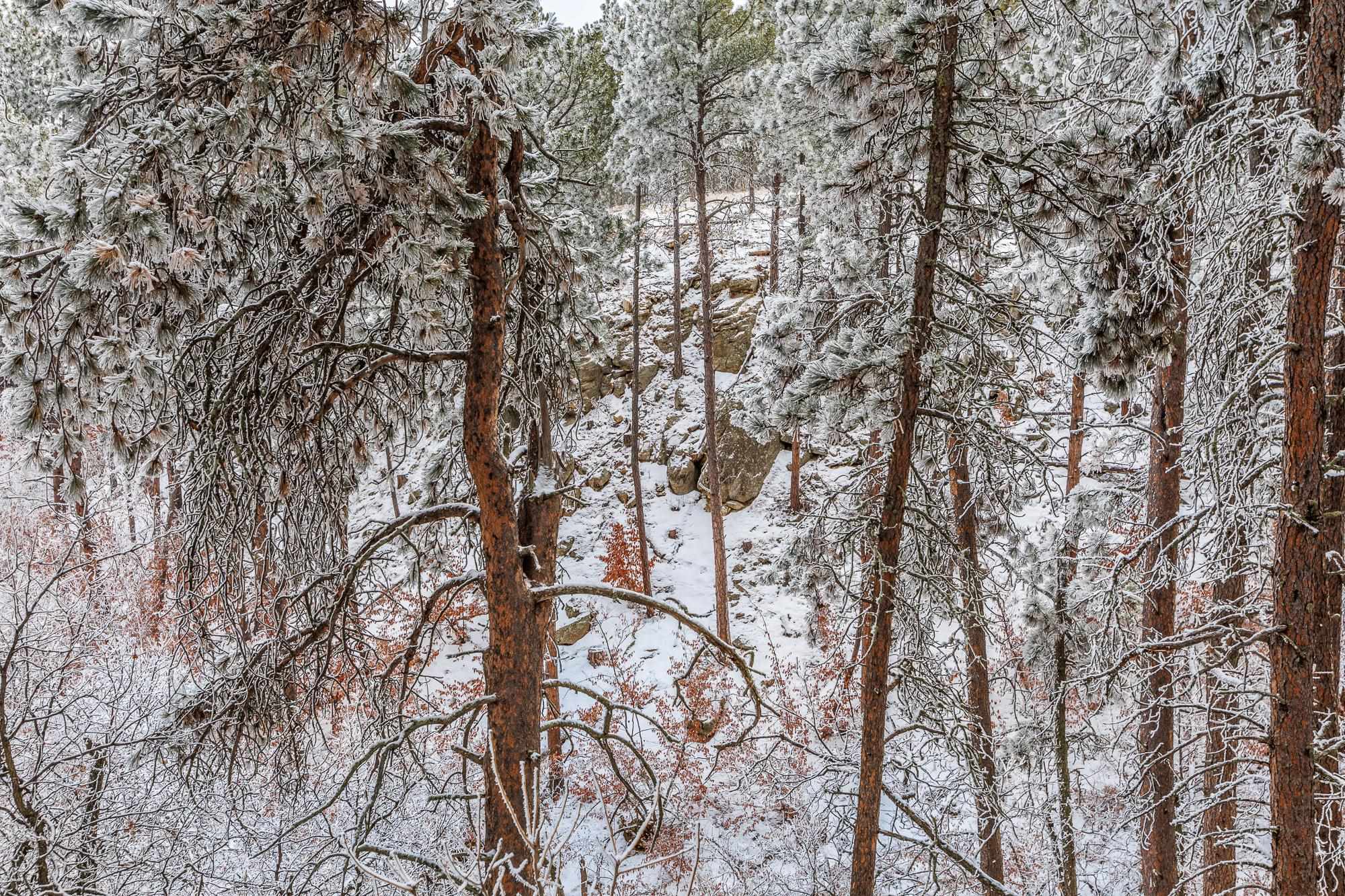 Lot 12 Niobrara Drive