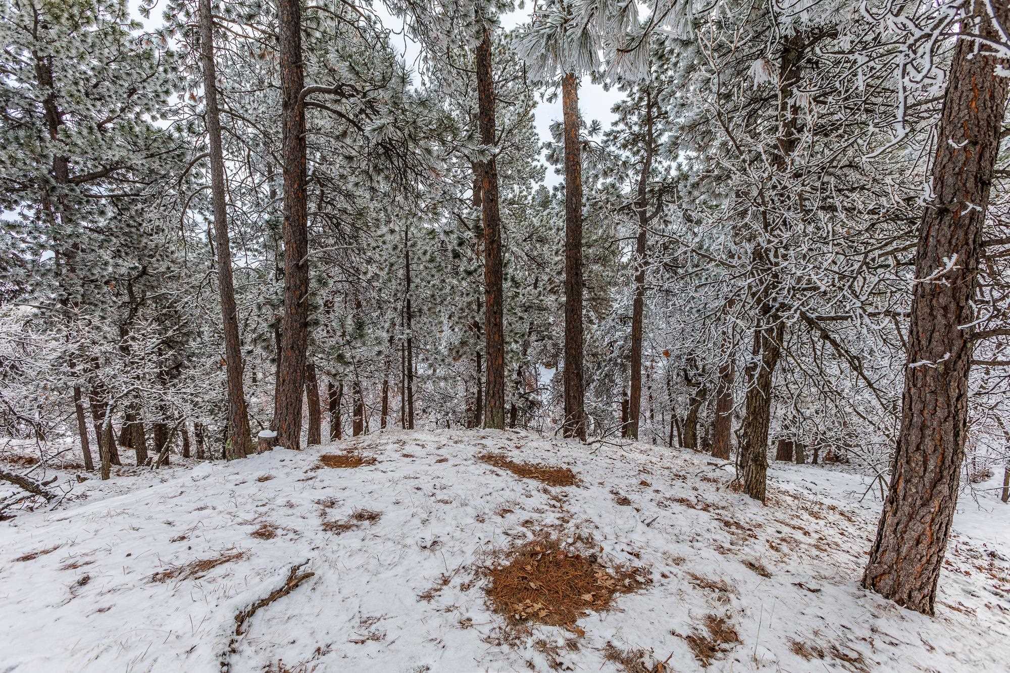 Lot 12 Niobrara Drive