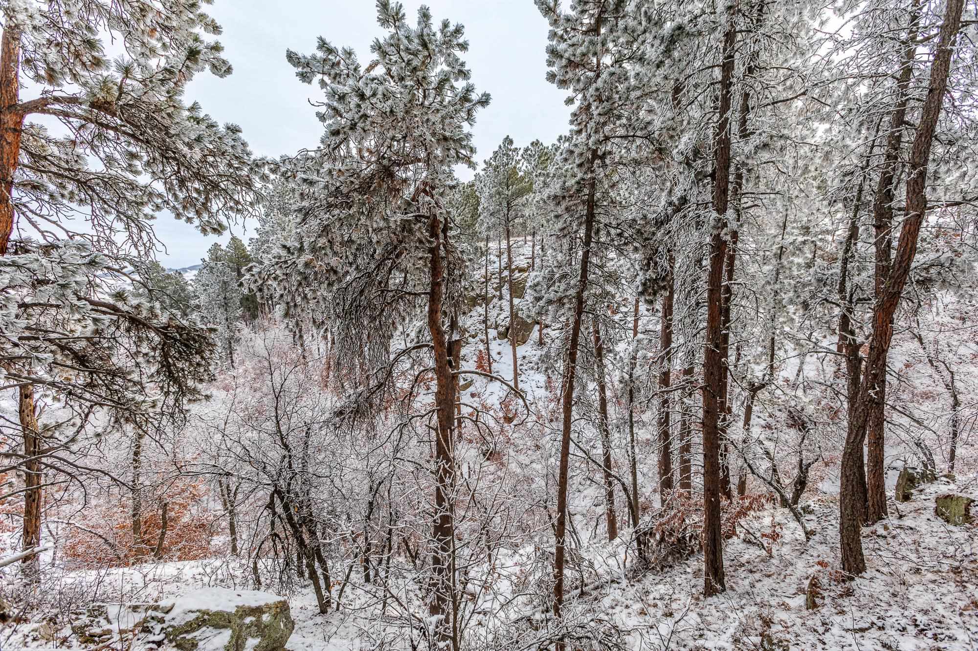 Lot 12 Niobrara Drive