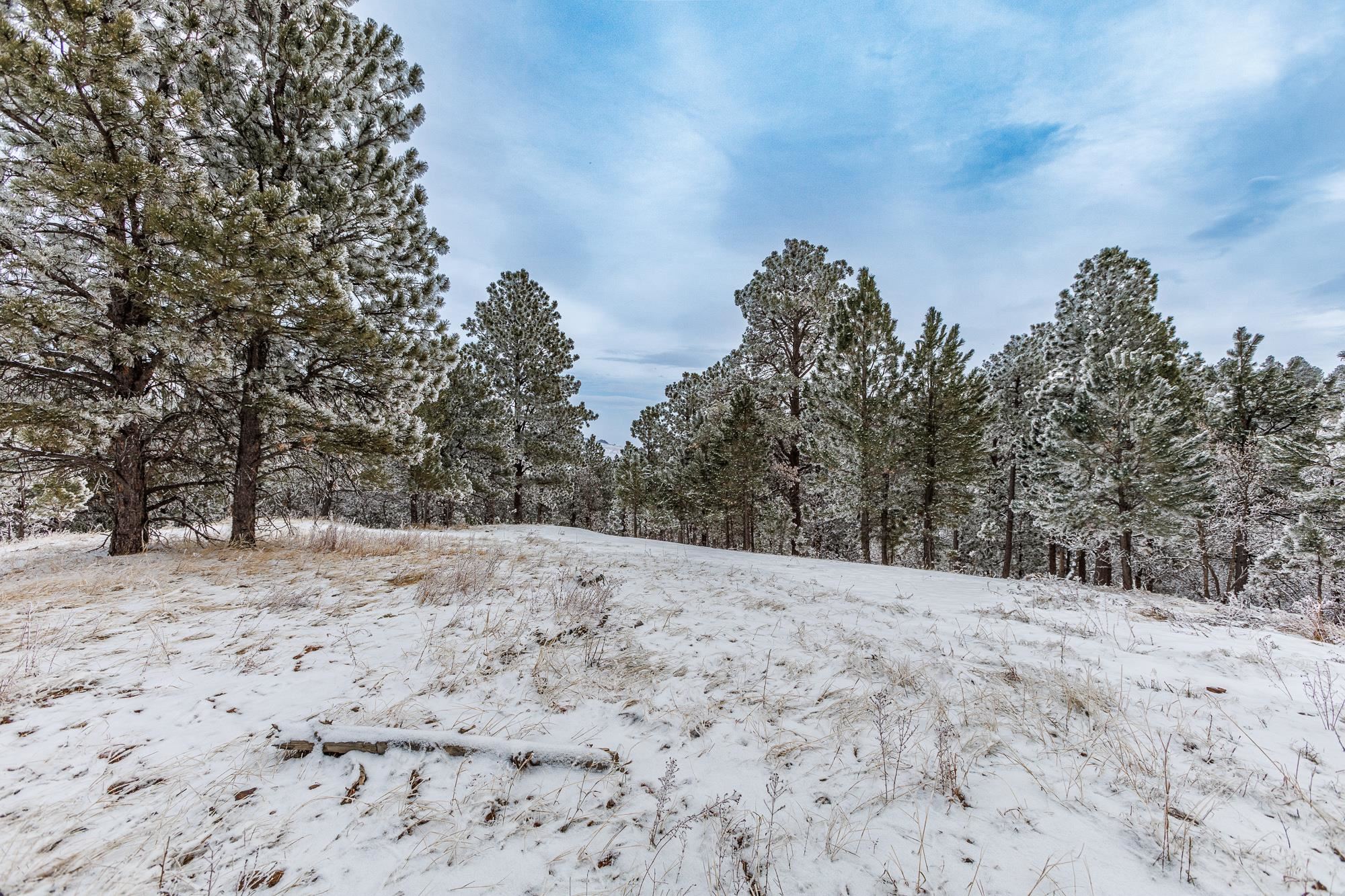 Lot 12 Niobrara Drive