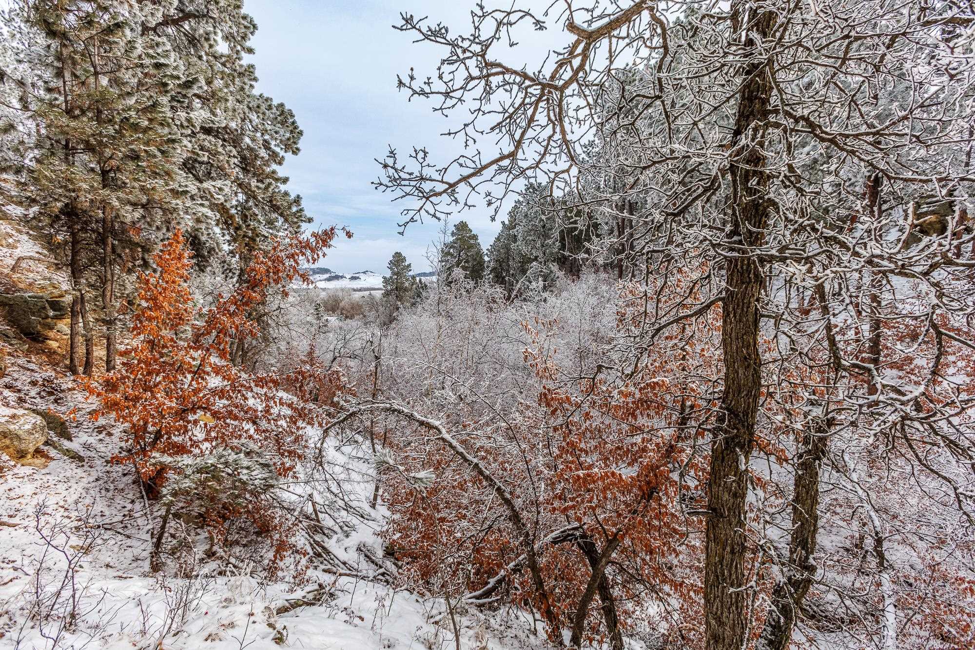 Lot 12 Niobrara Drive