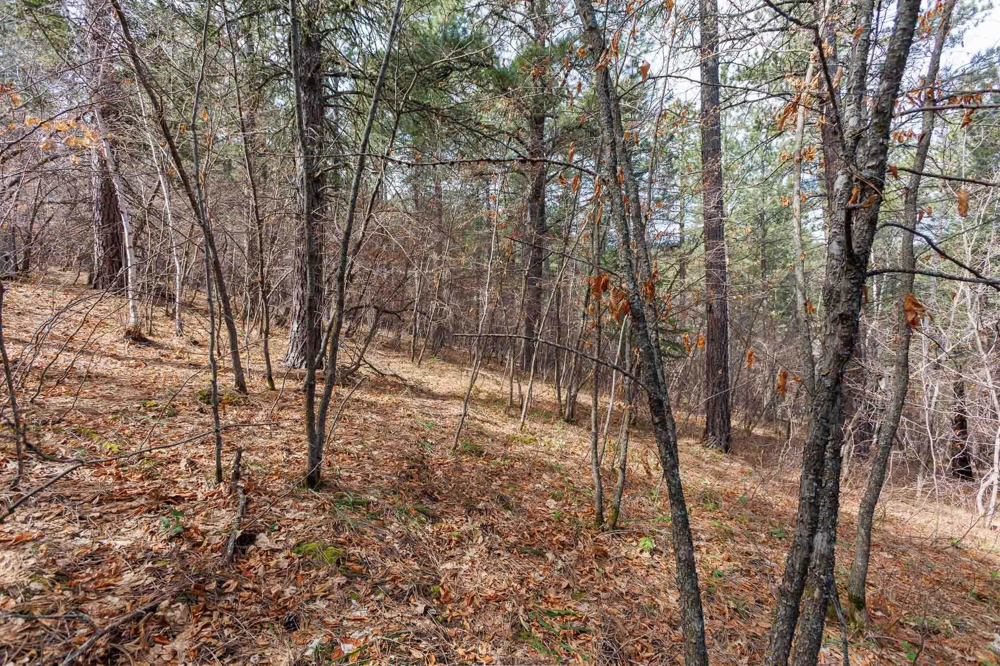 2203 Pasque Loop