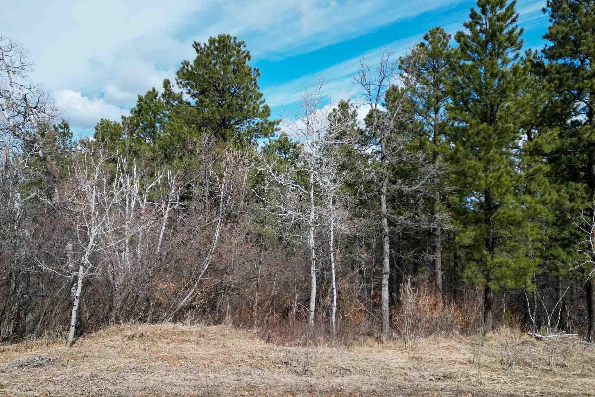 2203 Pasque Loop