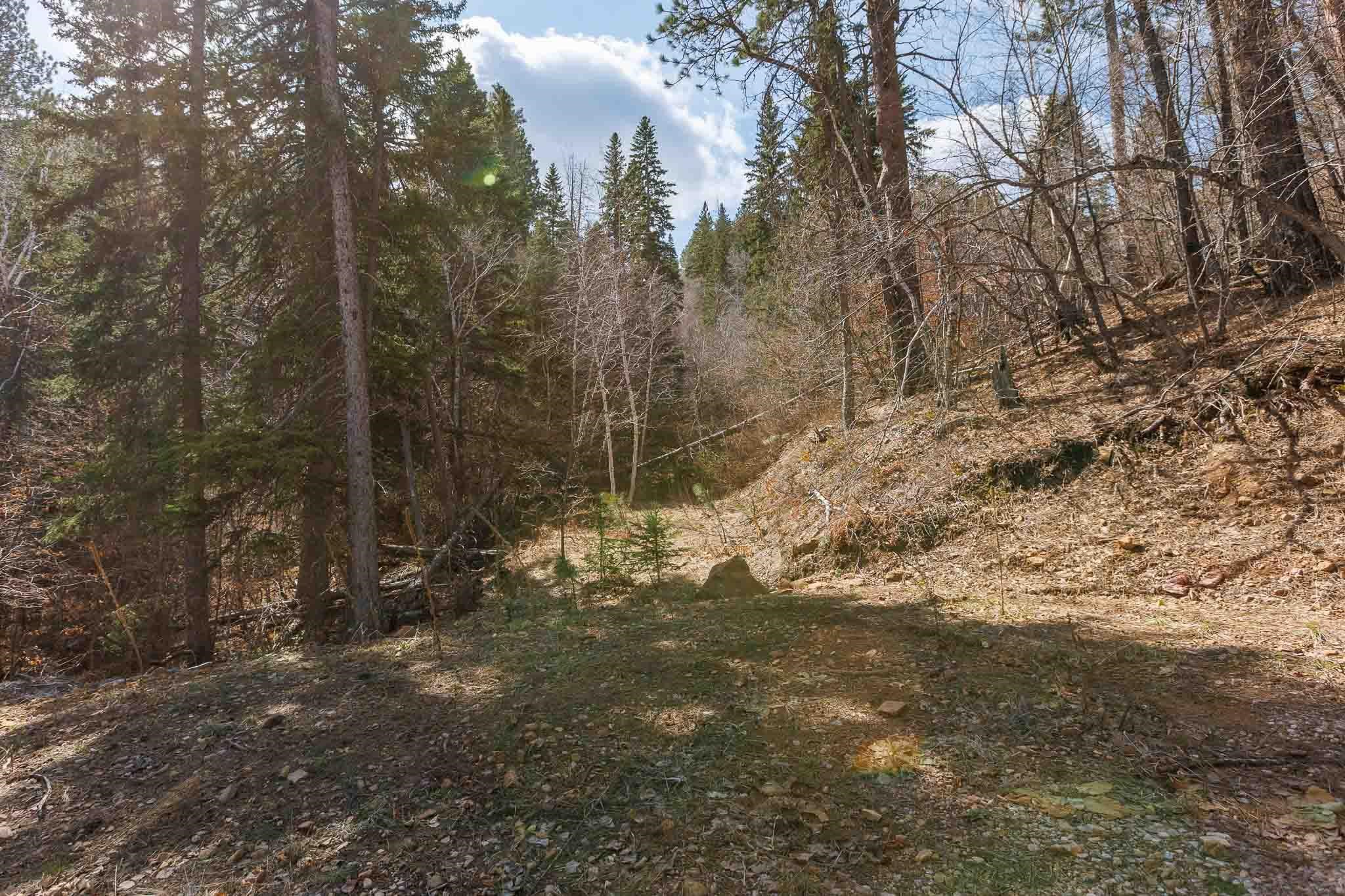 2203 Pasque Loop