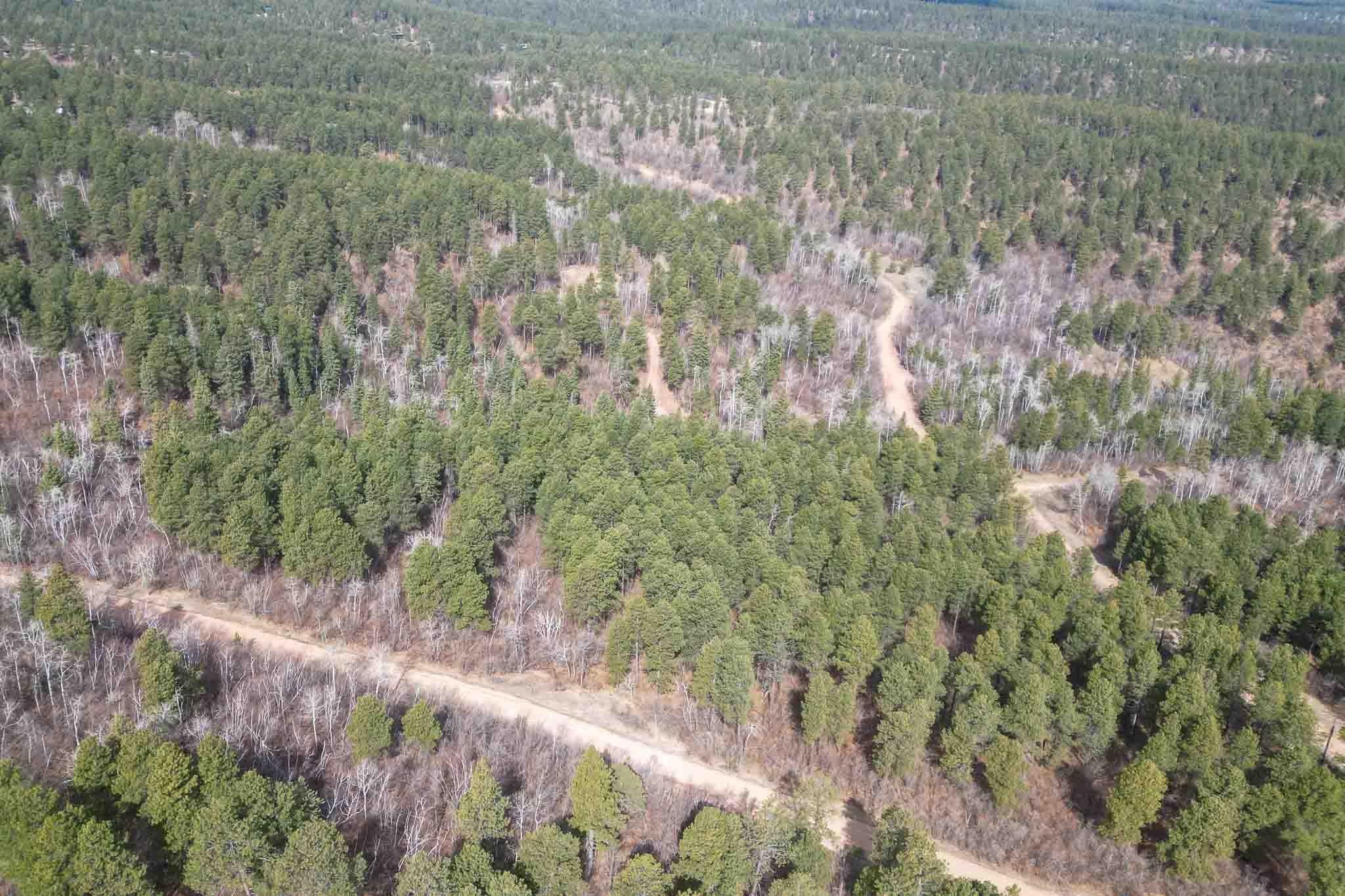2203 Pasque Loop