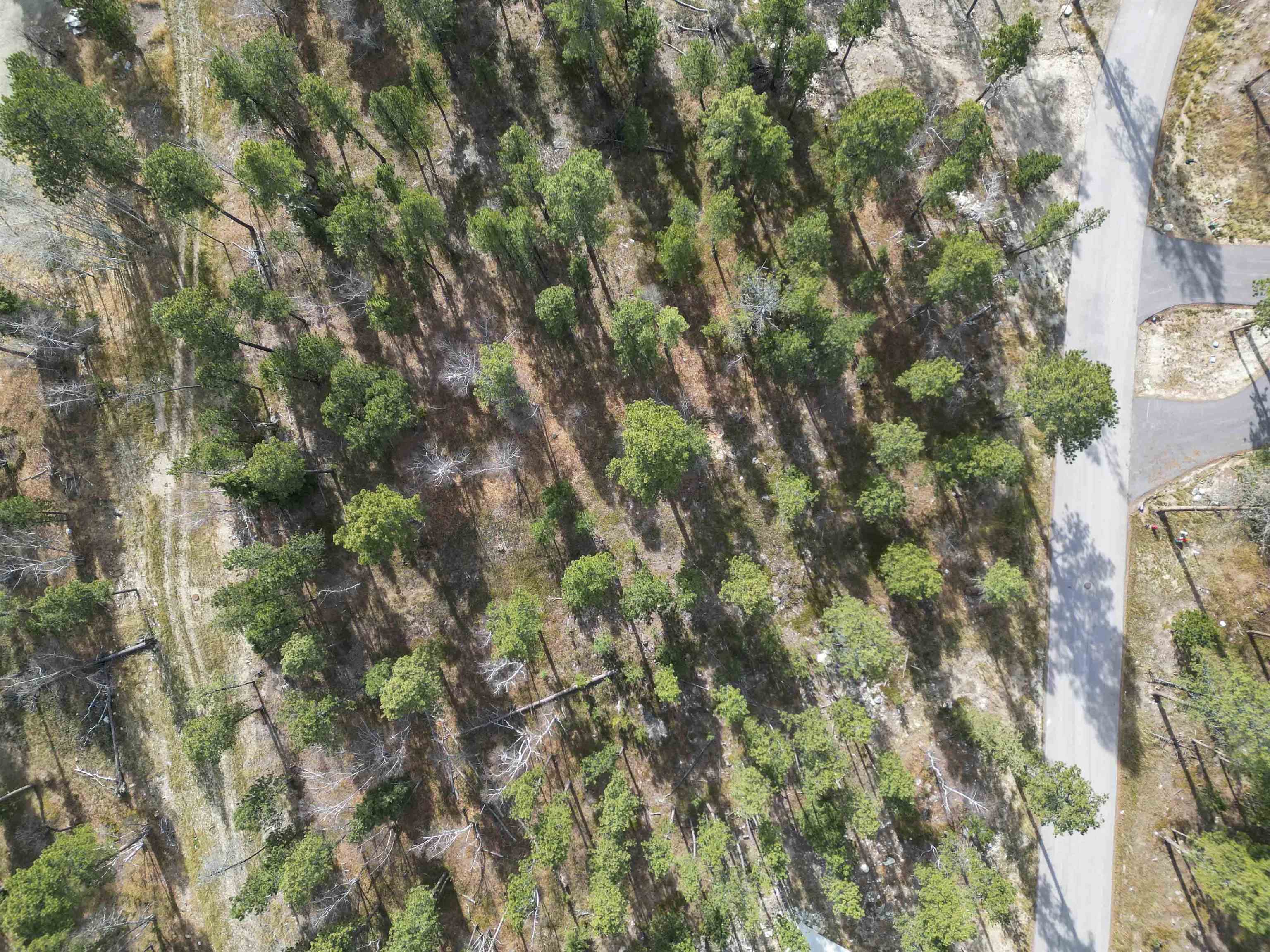 Lot 4 Blk 8 Autumn Lane