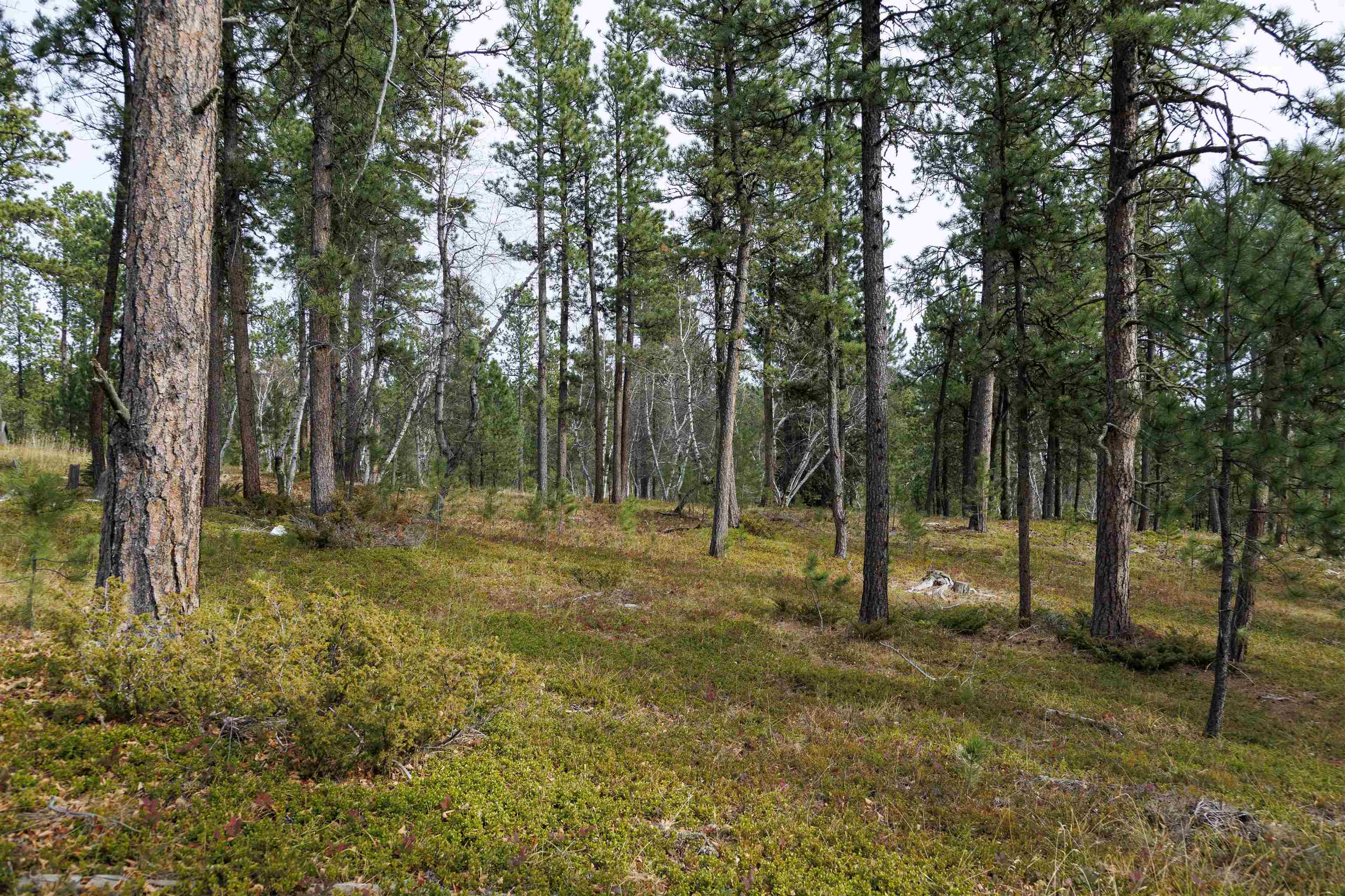 Lot 4 Blk 8 Autumn Lane