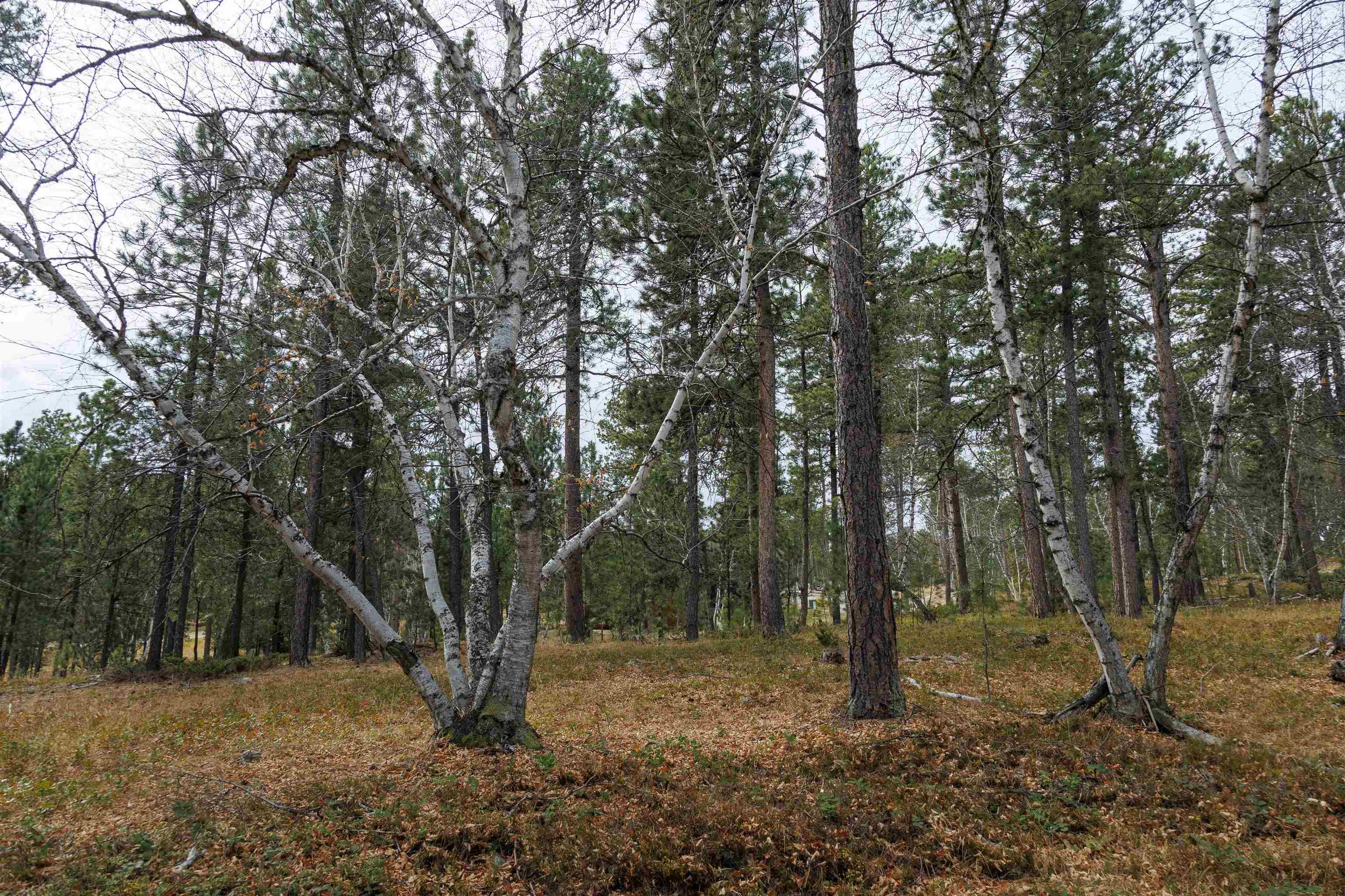 Lot 4 Blk 8 Autumn Lane