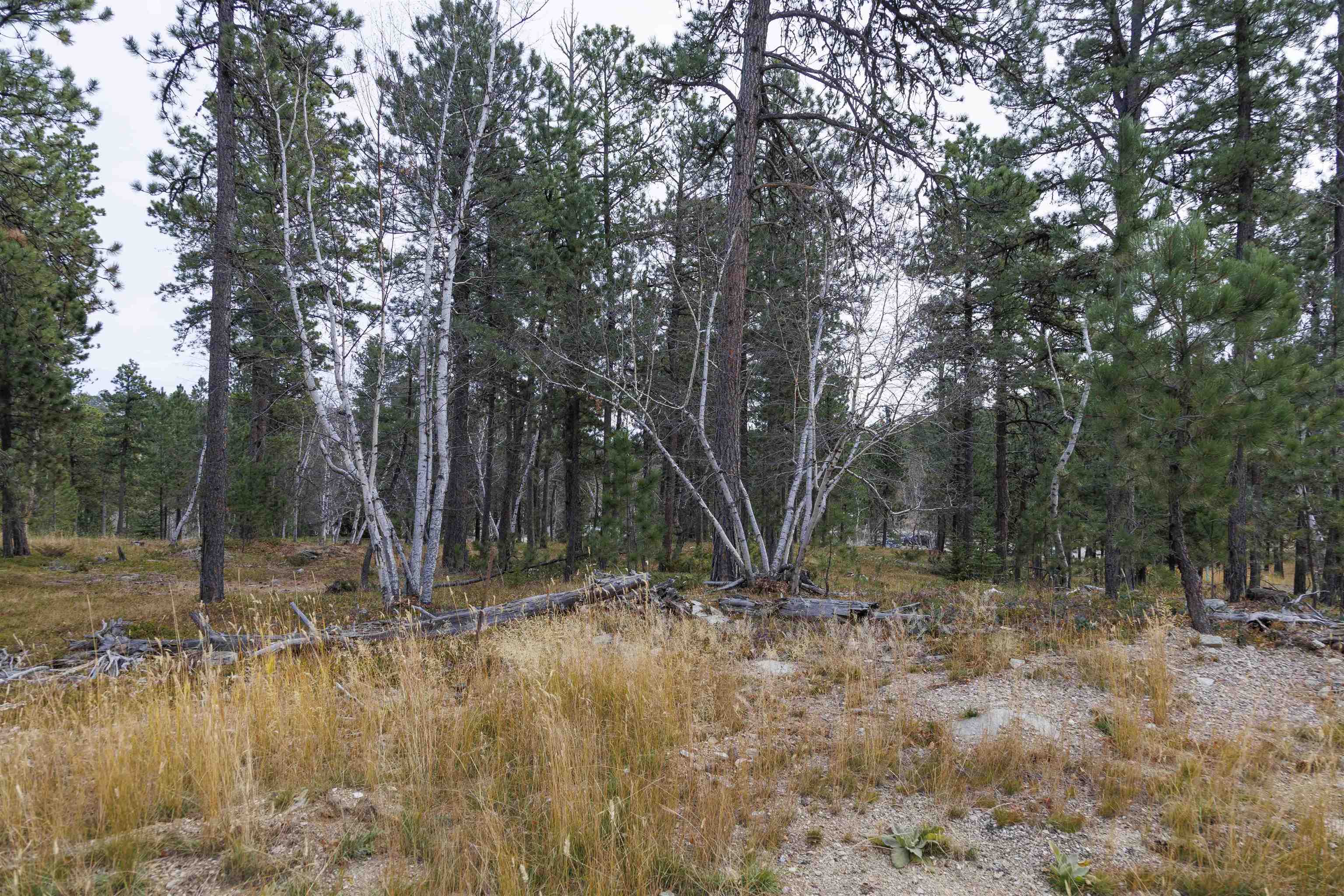 Lot 4 Blk 8 Autumn Lane