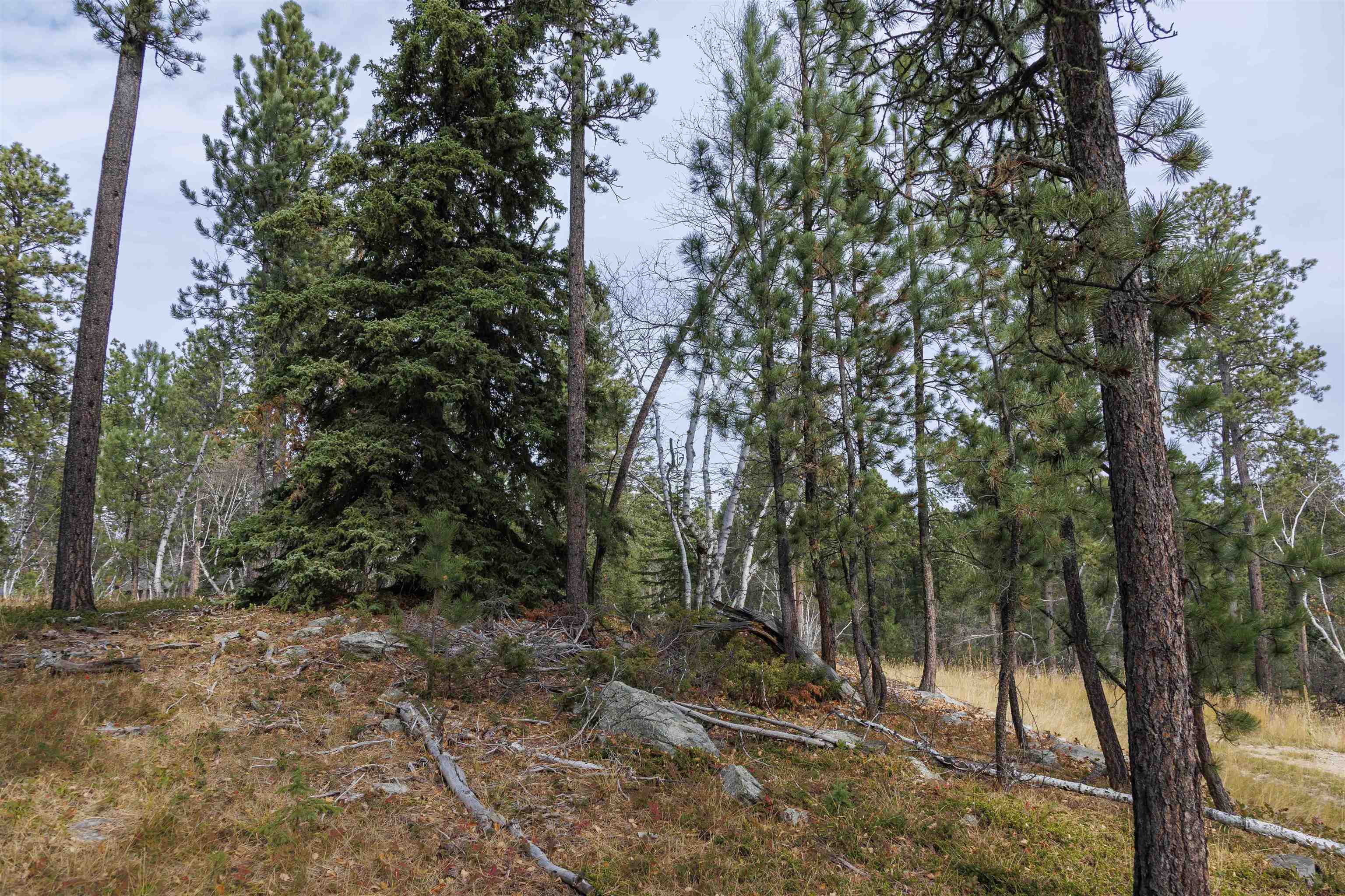 Lot 4 Blk 8 Autumn Lane