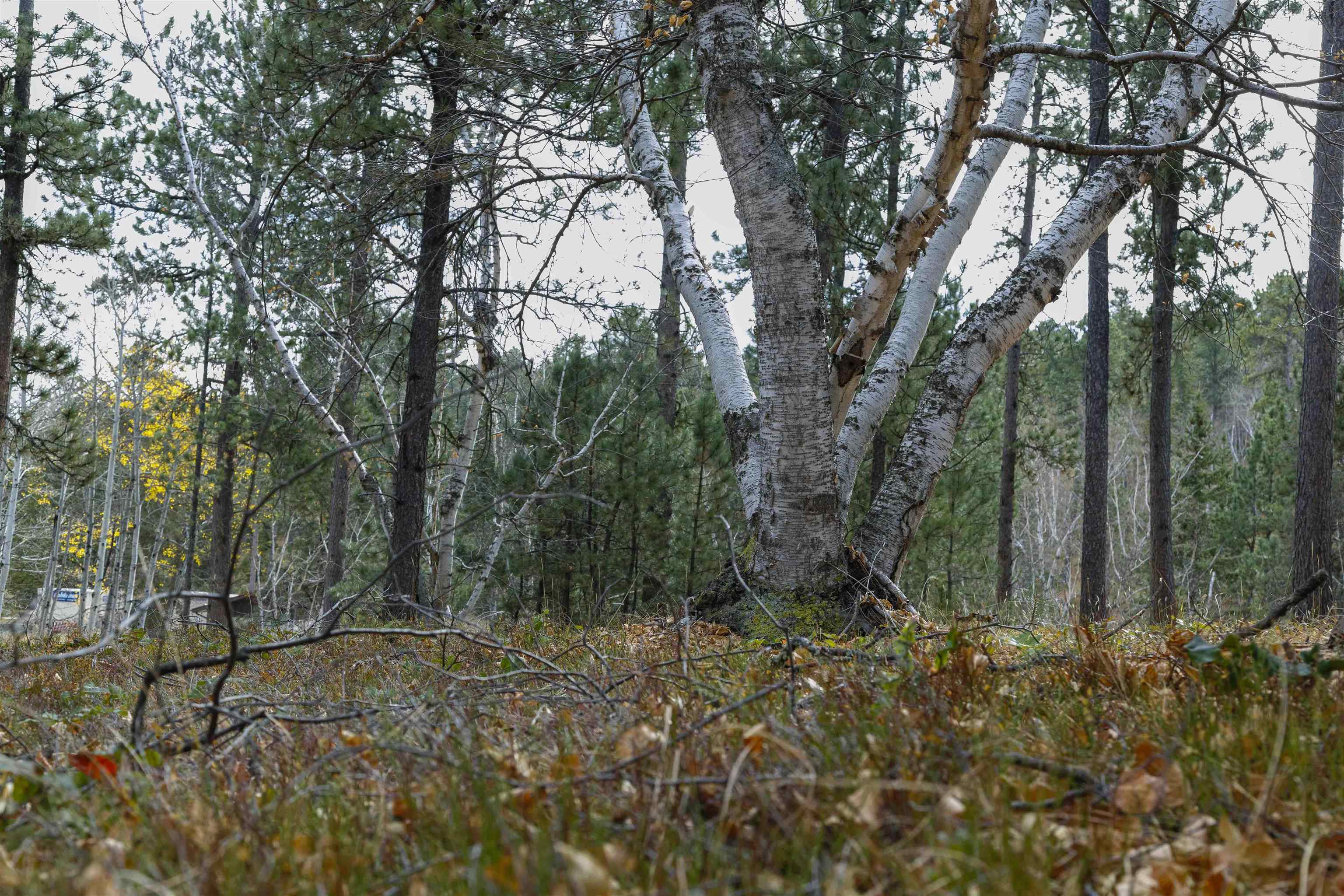 Lot 4 Blk 8 Autumn Lane