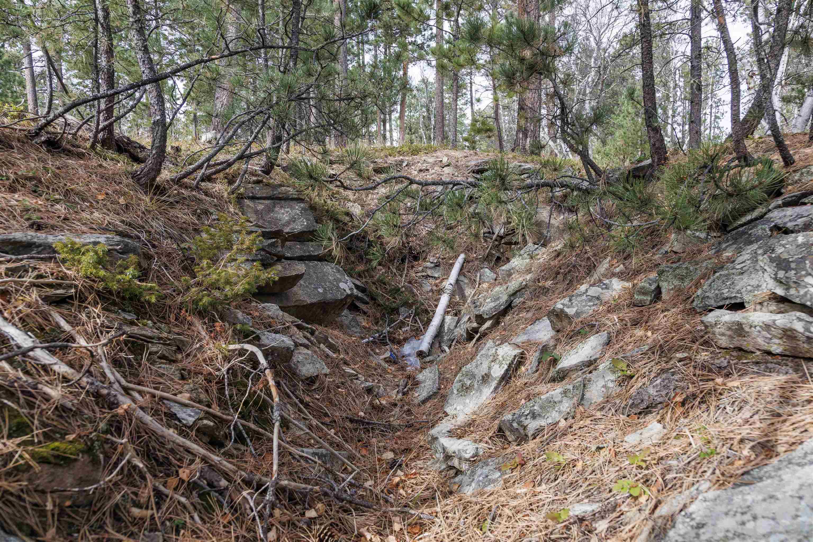 Lot 4 Blk 8 Autumn Lane