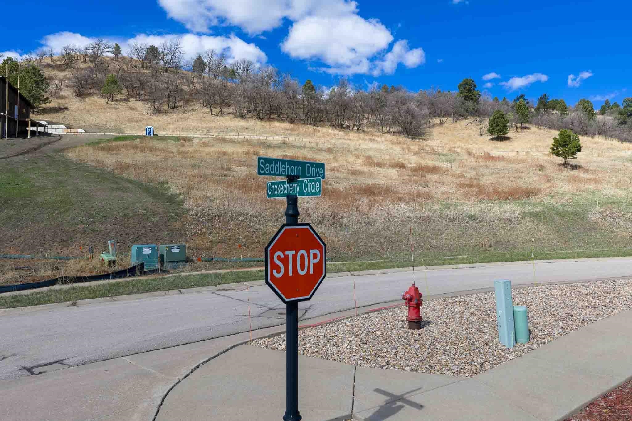 2221 Saddle Horn Drive