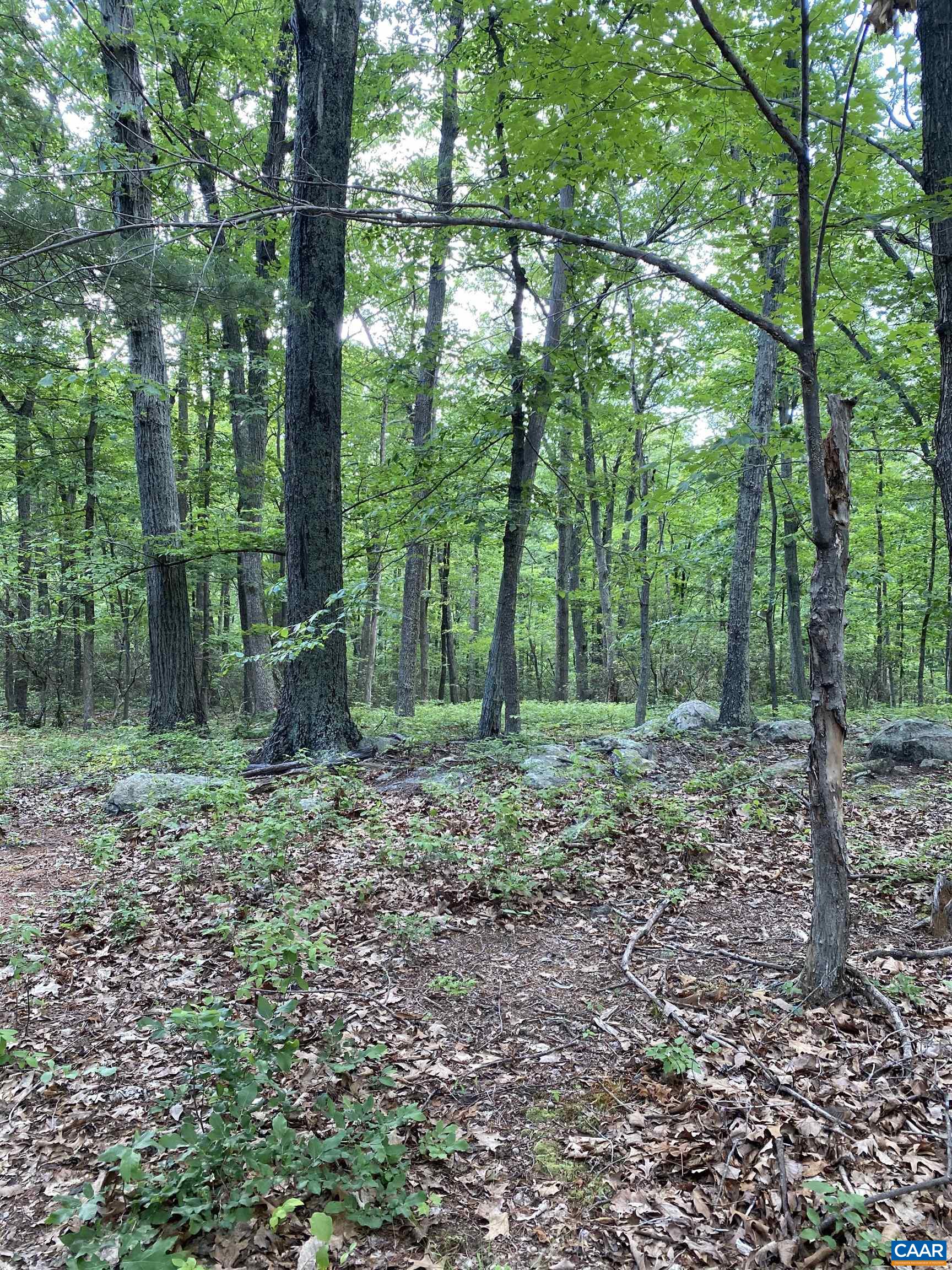 Lot 2 HANDLEY WAY