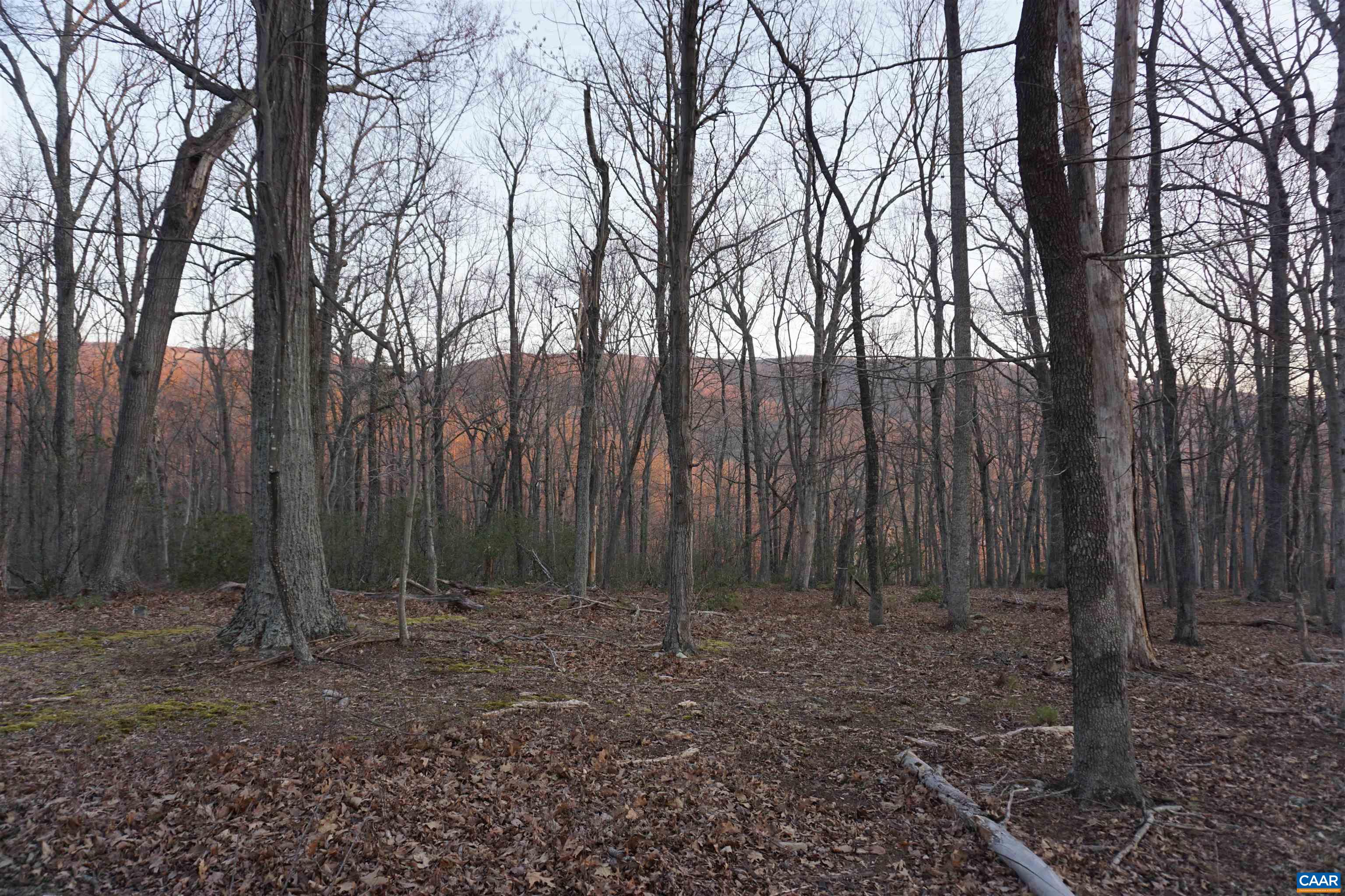Lot 2 HANDLEY WAY