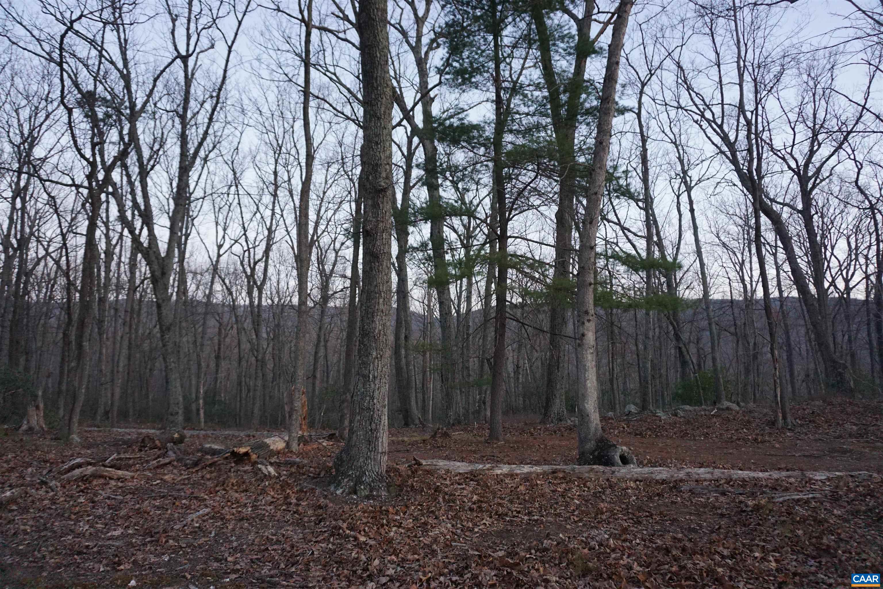 Lot 2 HANDLEY WAY