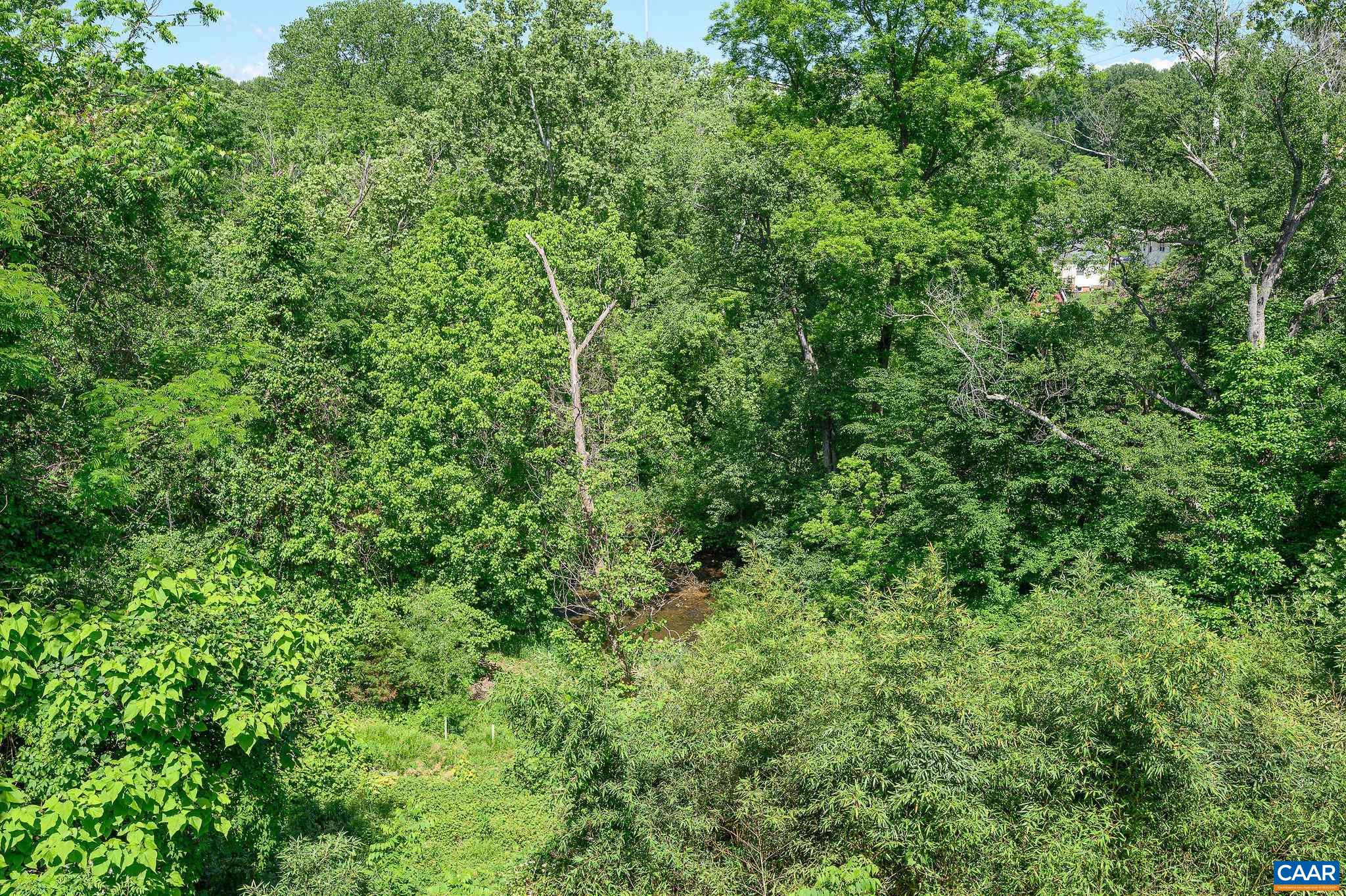 1115 SAINT CHARLES CT