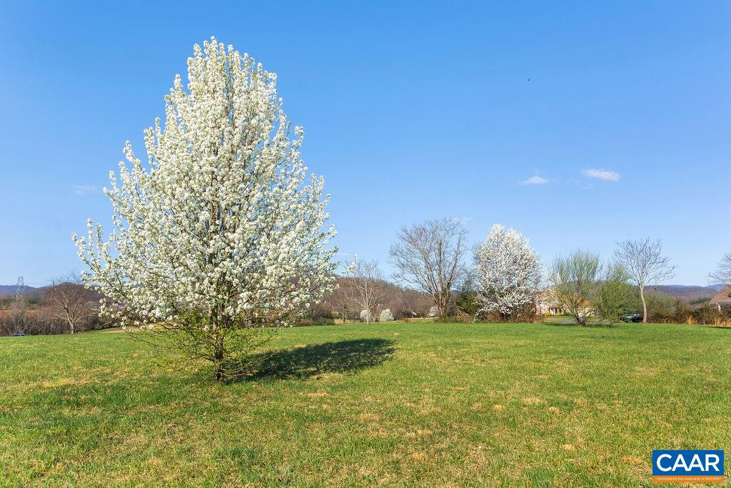 Lot 7 SYCAMORE CREEK CIR
