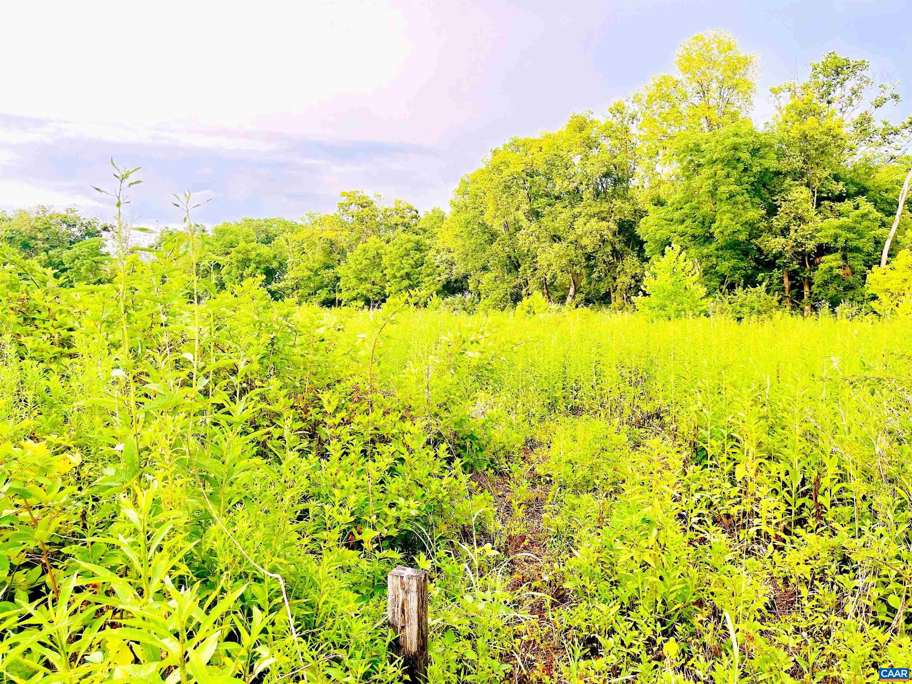 Lot 46A ROCKFISH RD