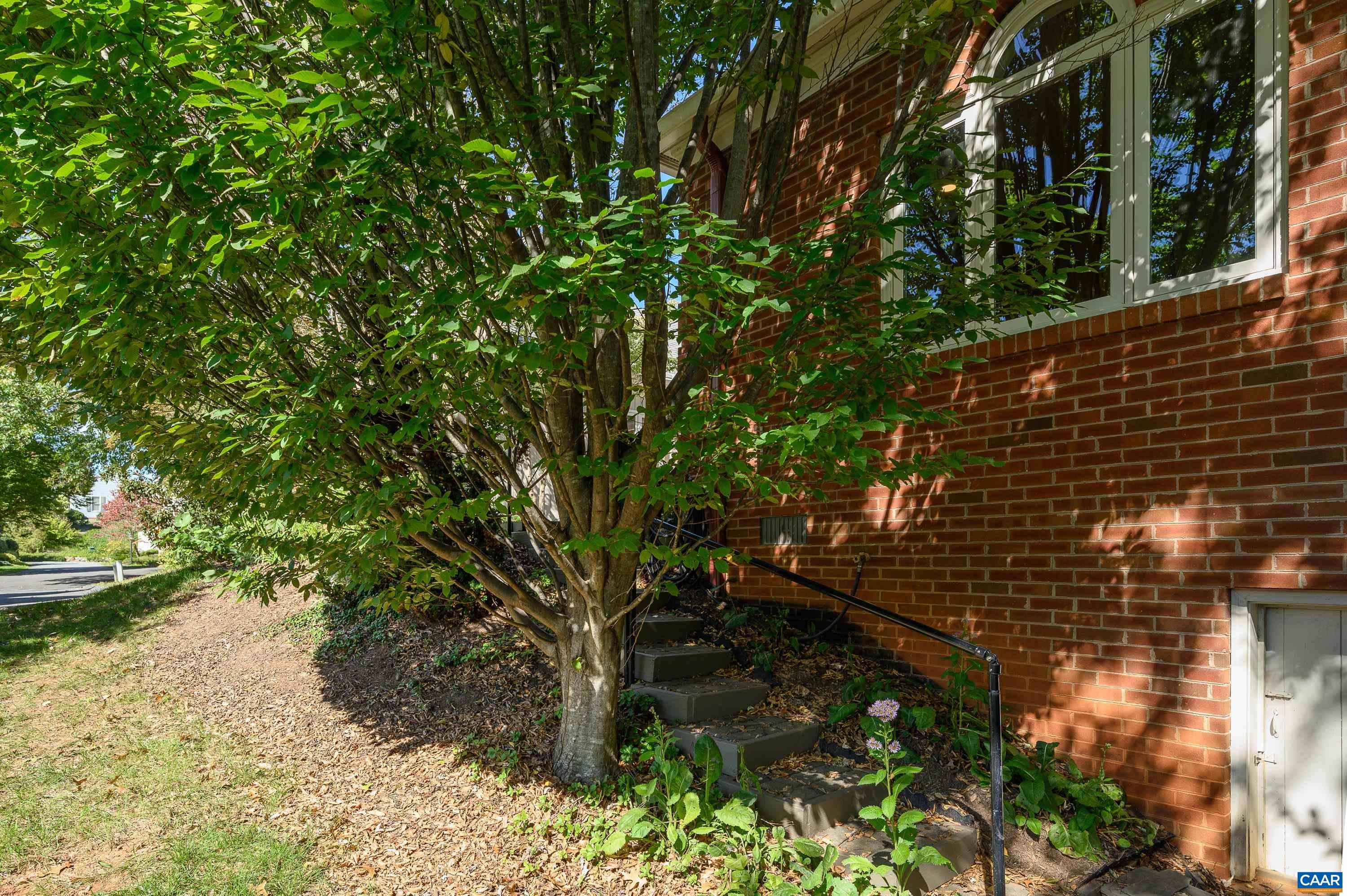 1113 MARION DR