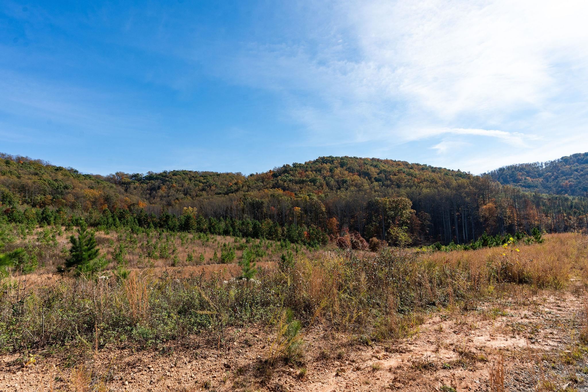 TBD POUNDING CREEK RD