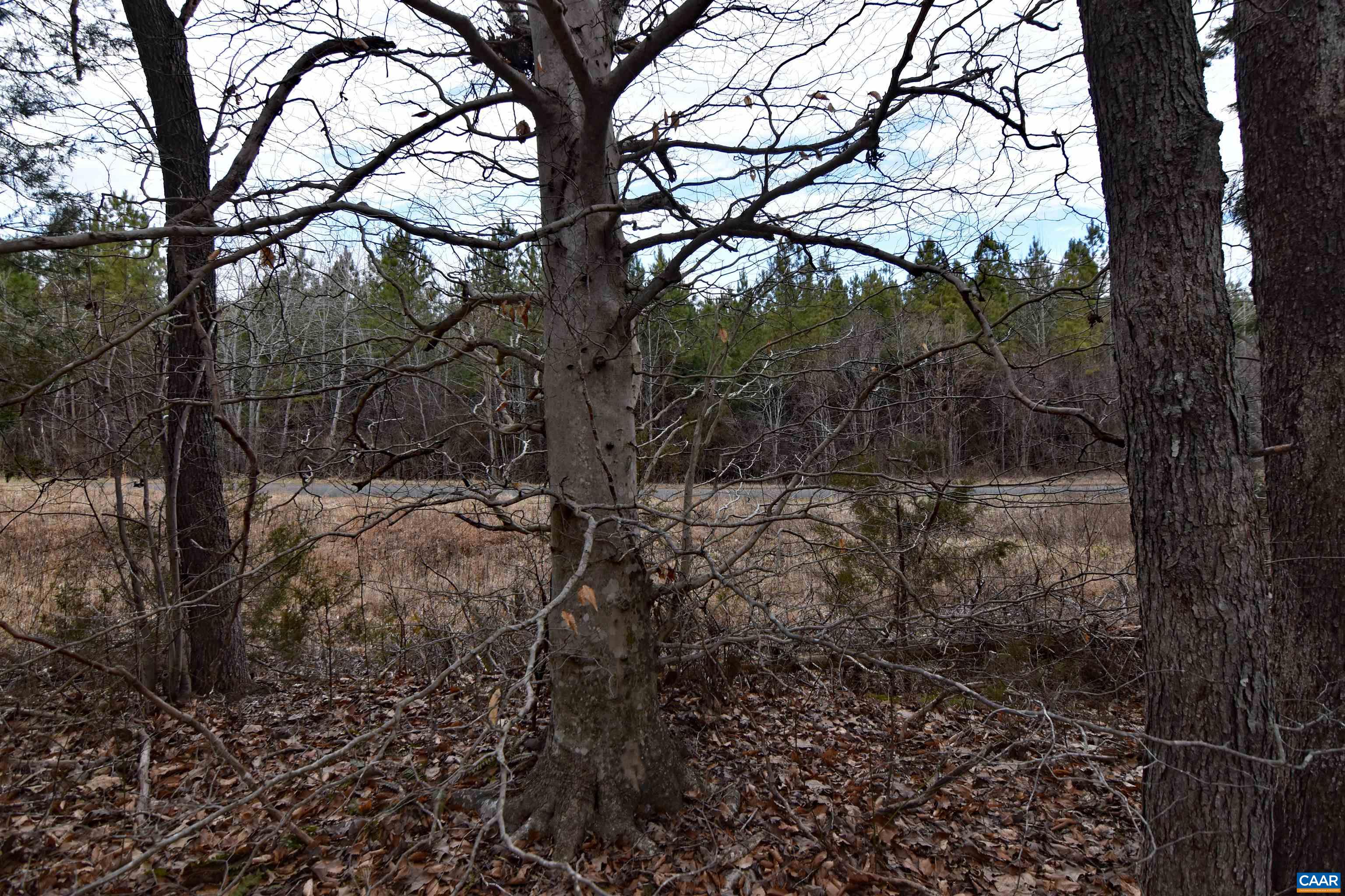 TBD GLADE RD