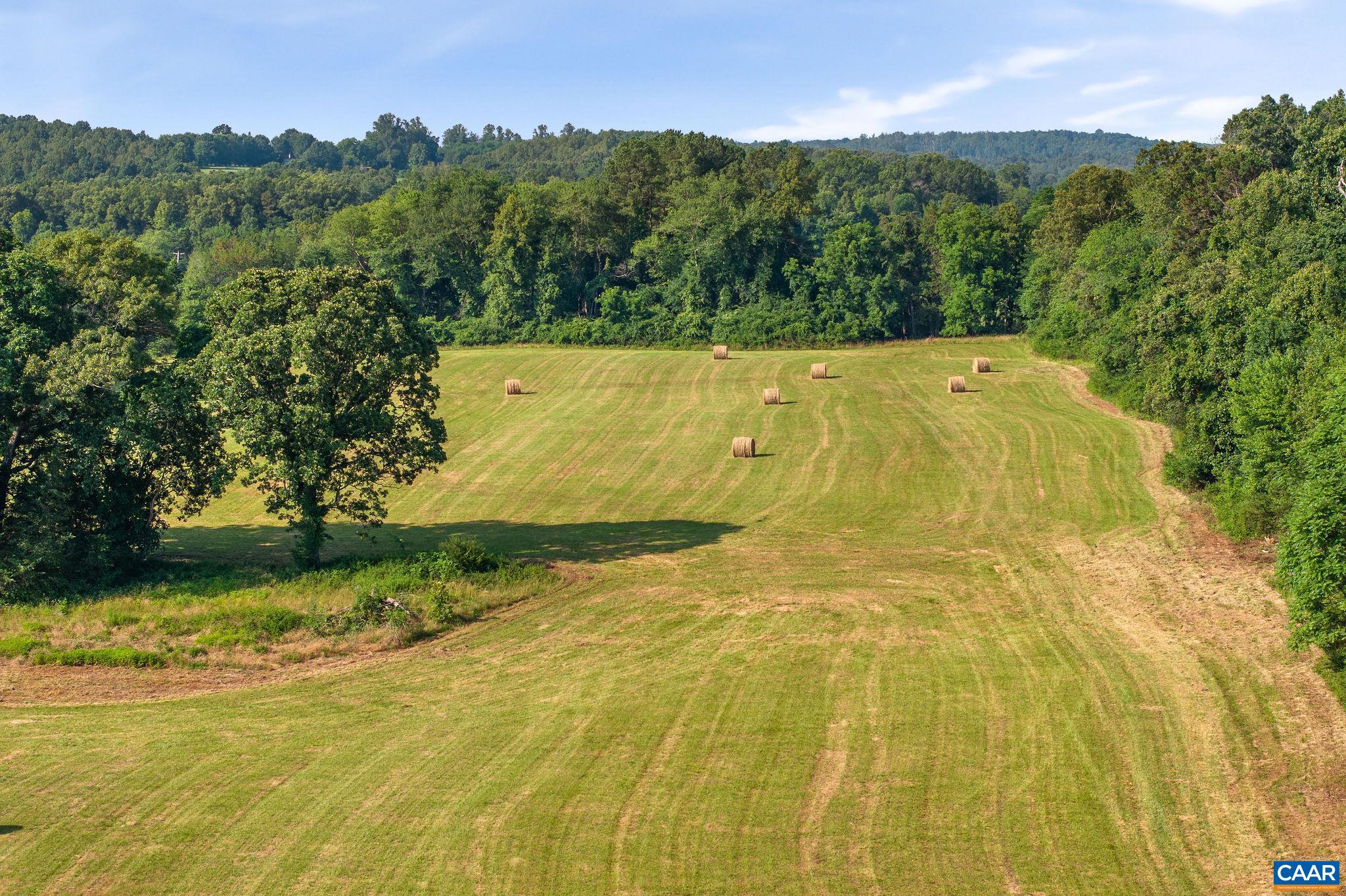76.99 acres COLES ROLLING RD