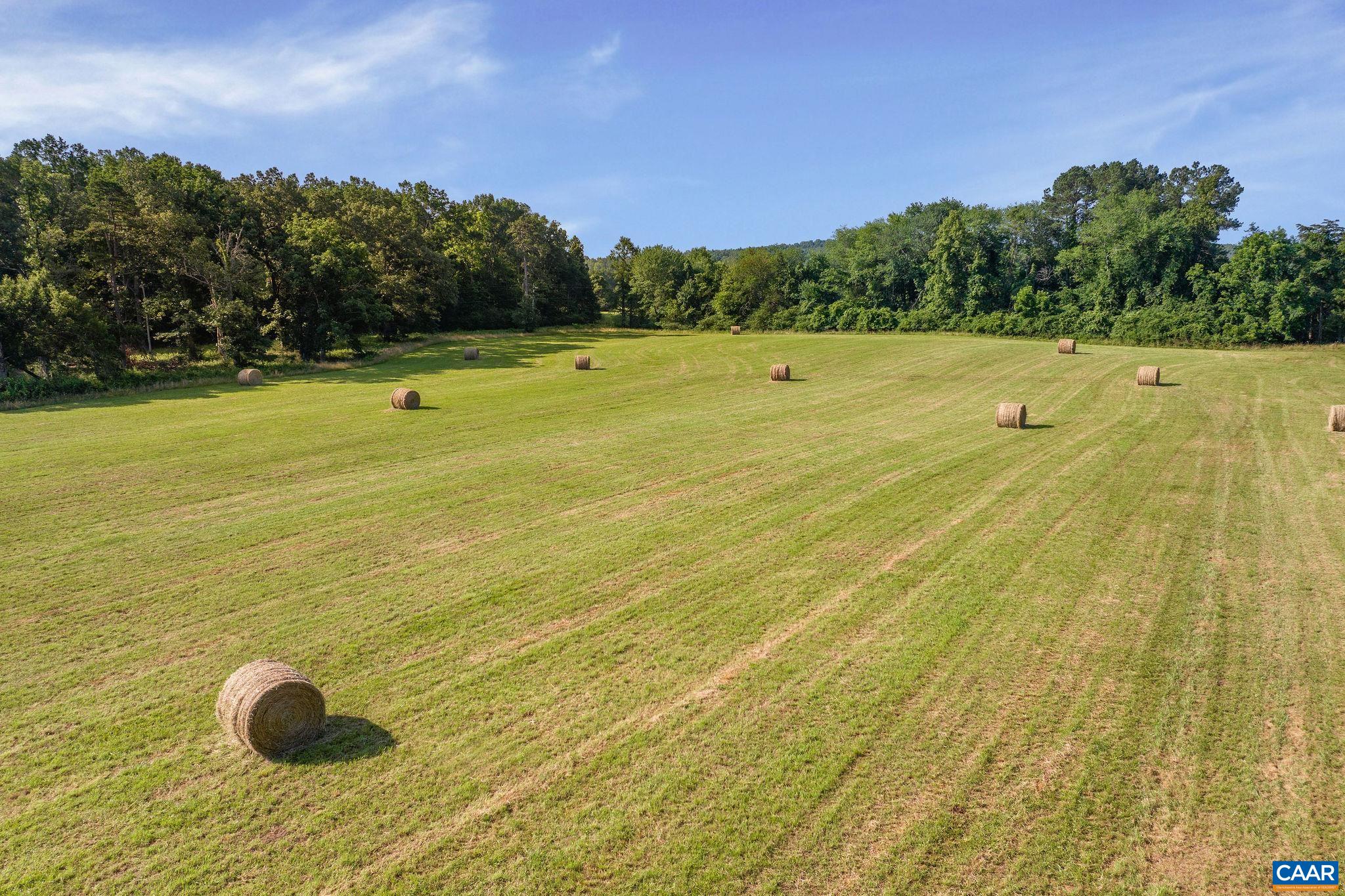 76.99 acres COLES ROLLING RD