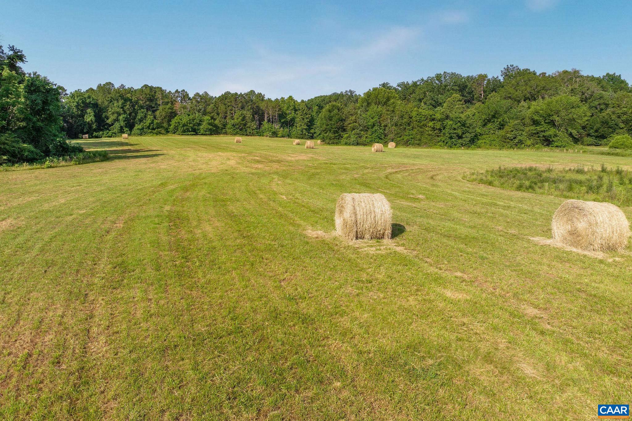 76.99 acres COLES ROLLING RD