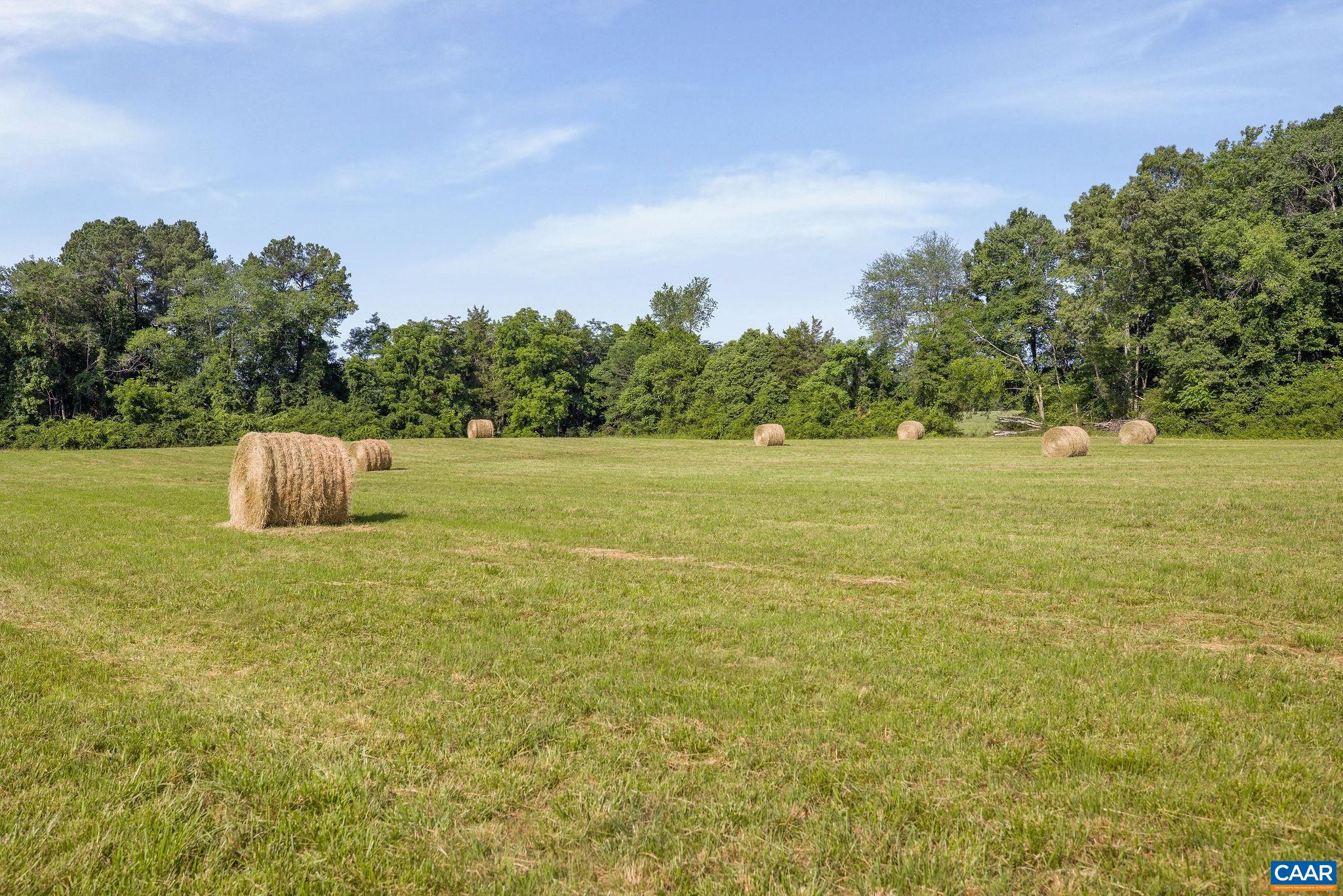 76.99 acres COLES ROLLING RD