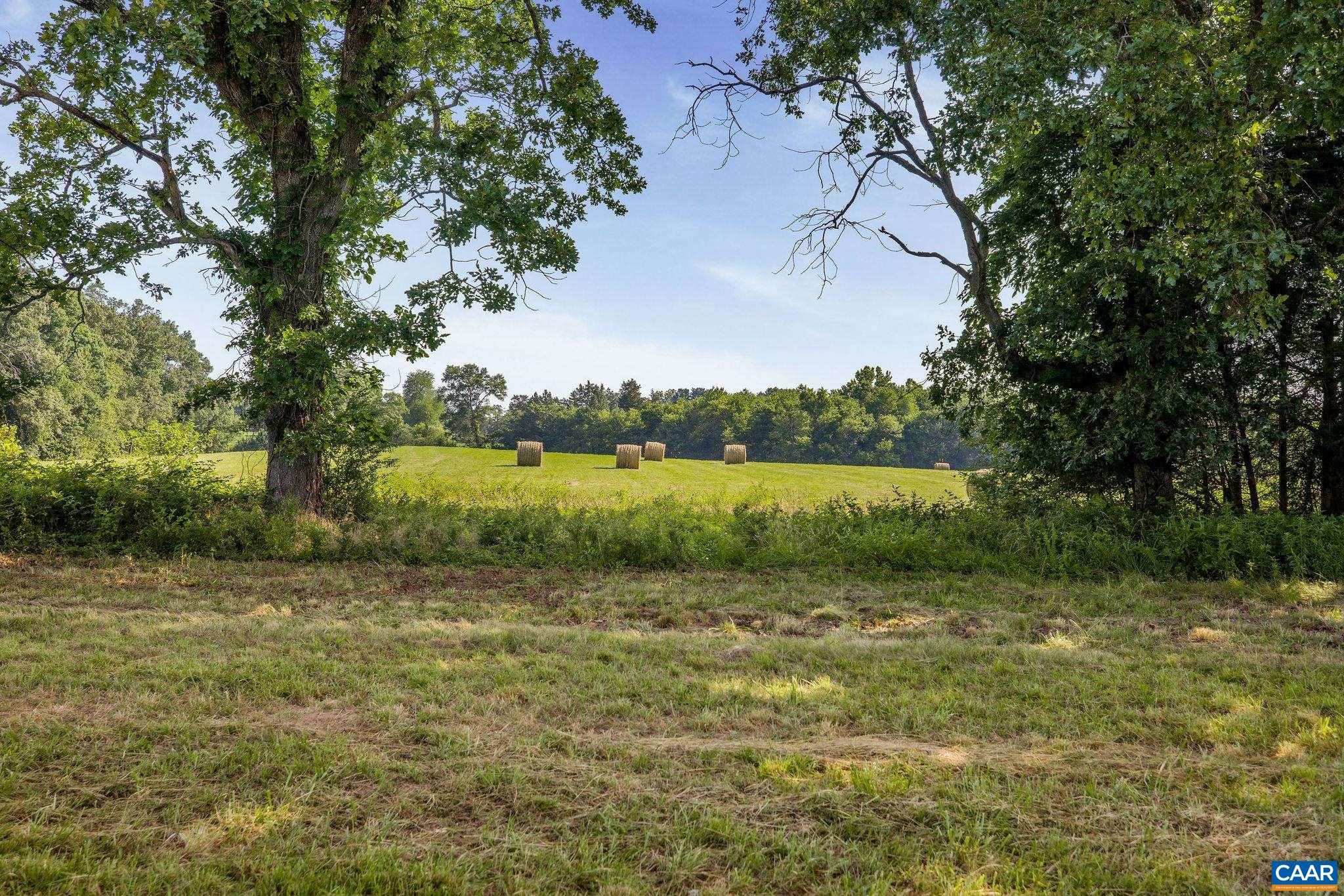 76.99 acres COLES ROLLING RD