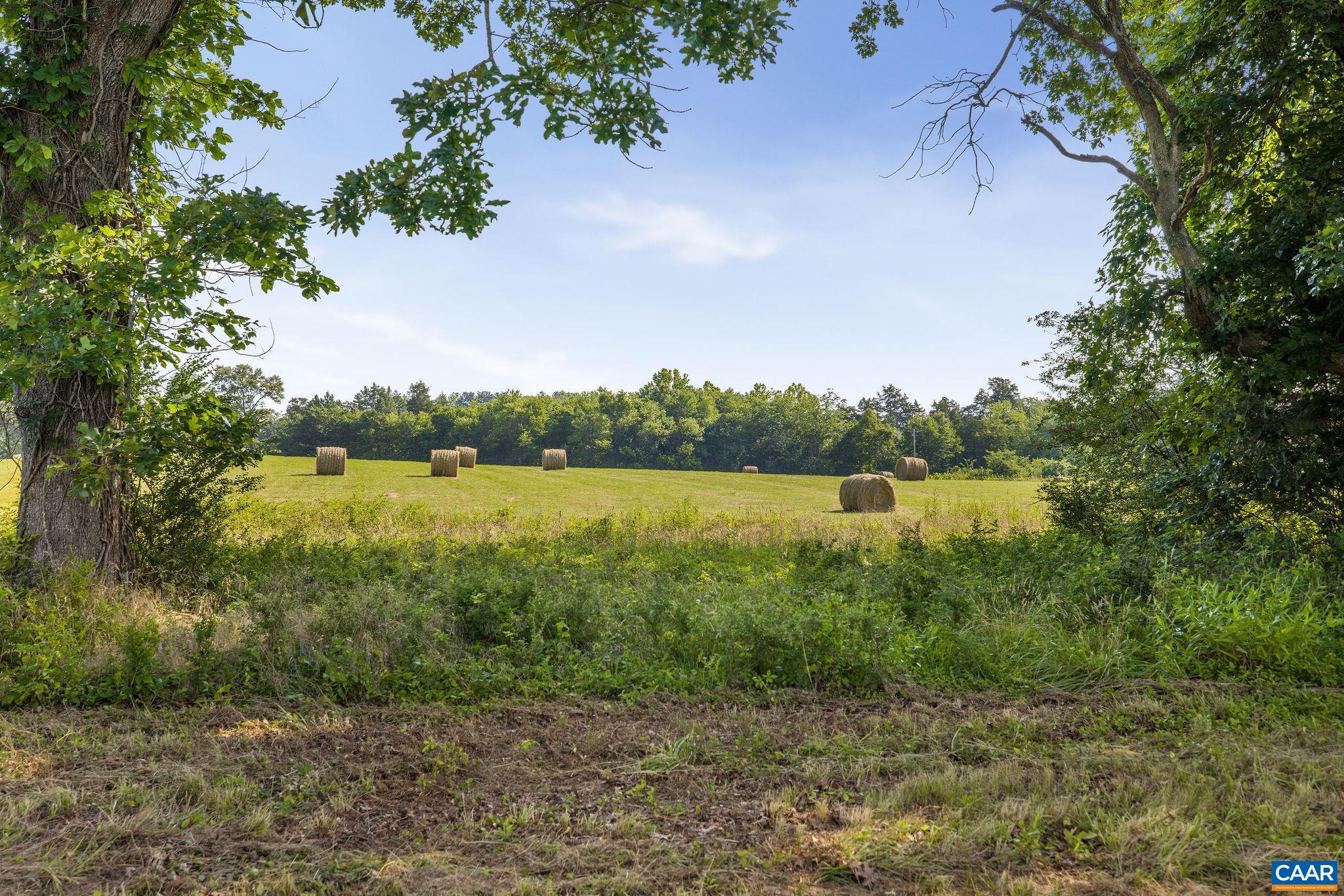 76.99 acres COLES ROLLING RD