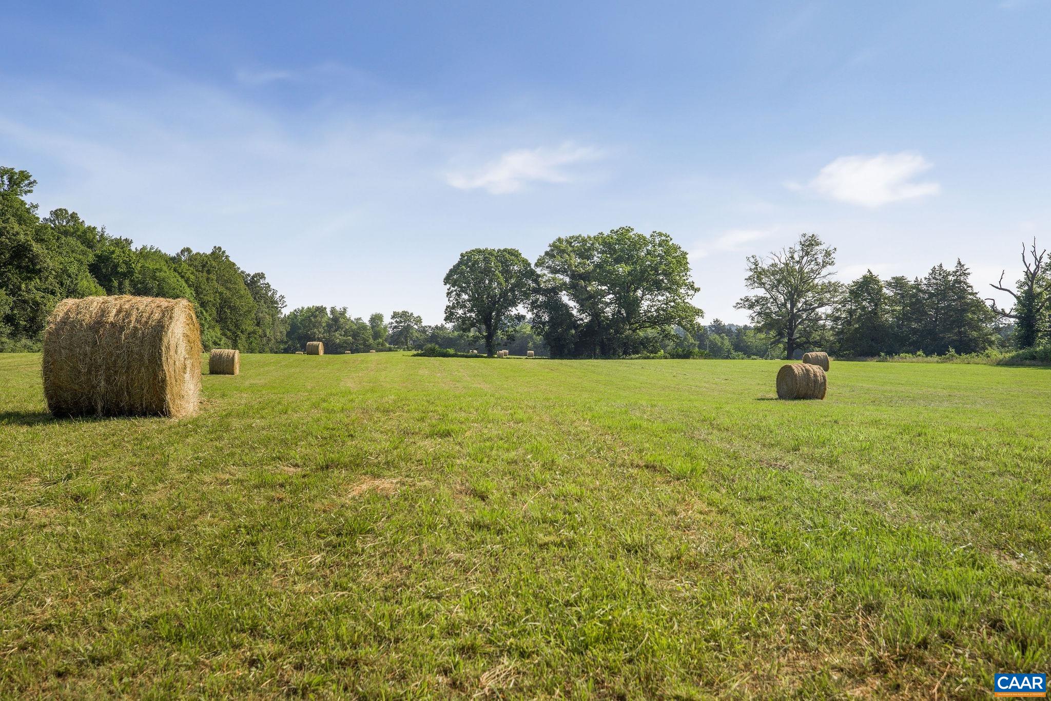 76.99 acres COLES ROLLING RD