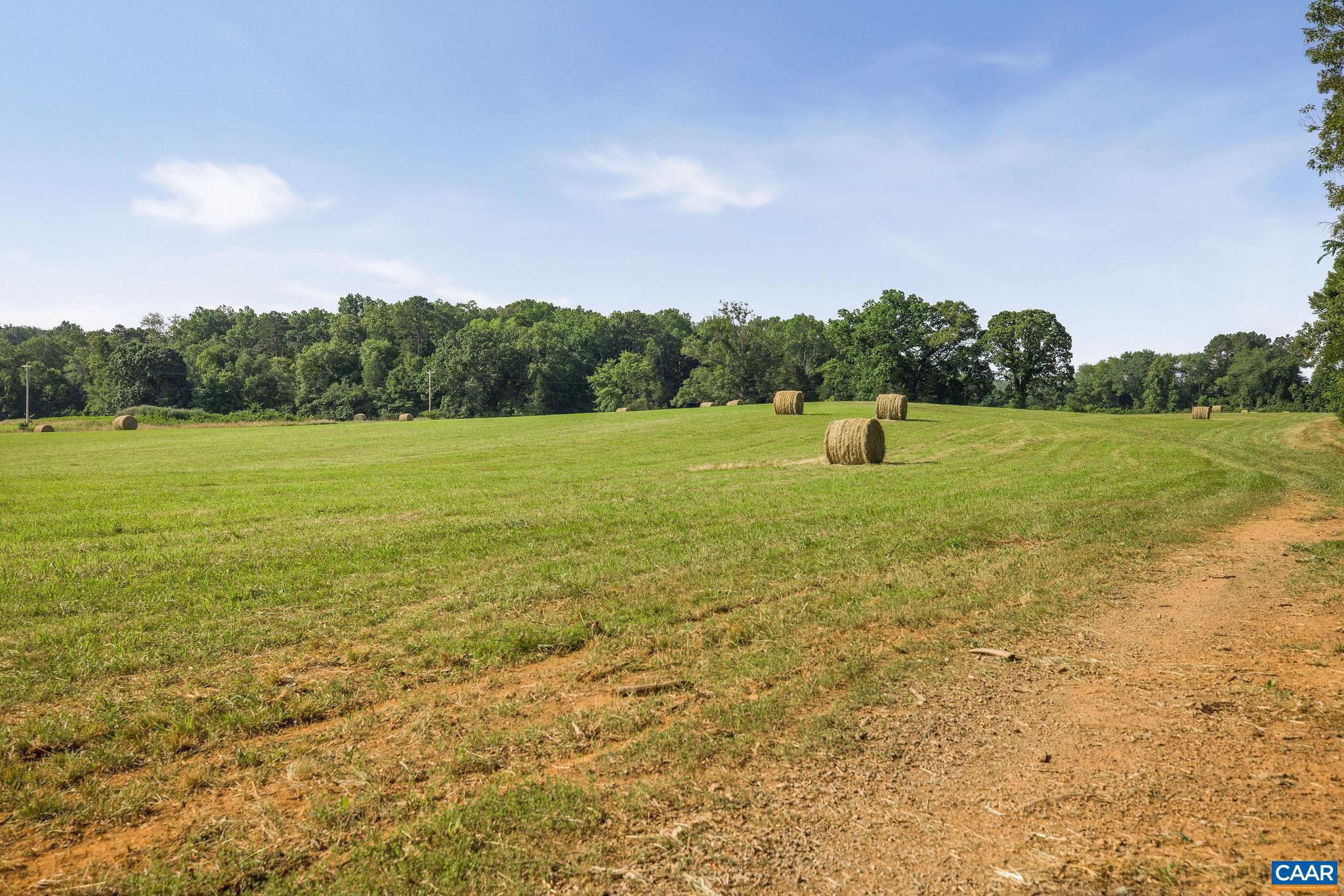 76.99 acres COLES ROLLING RD