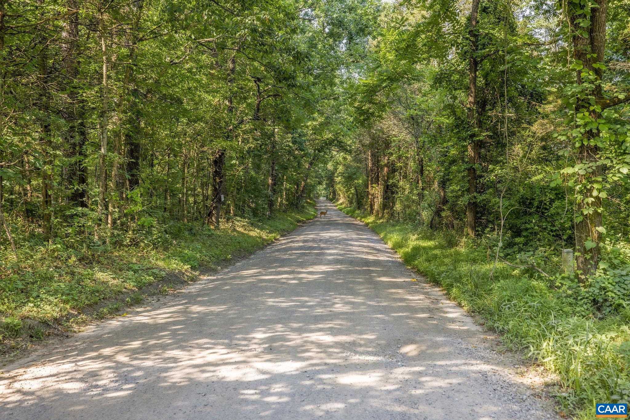 76.99 acres COLES ROLLING RD