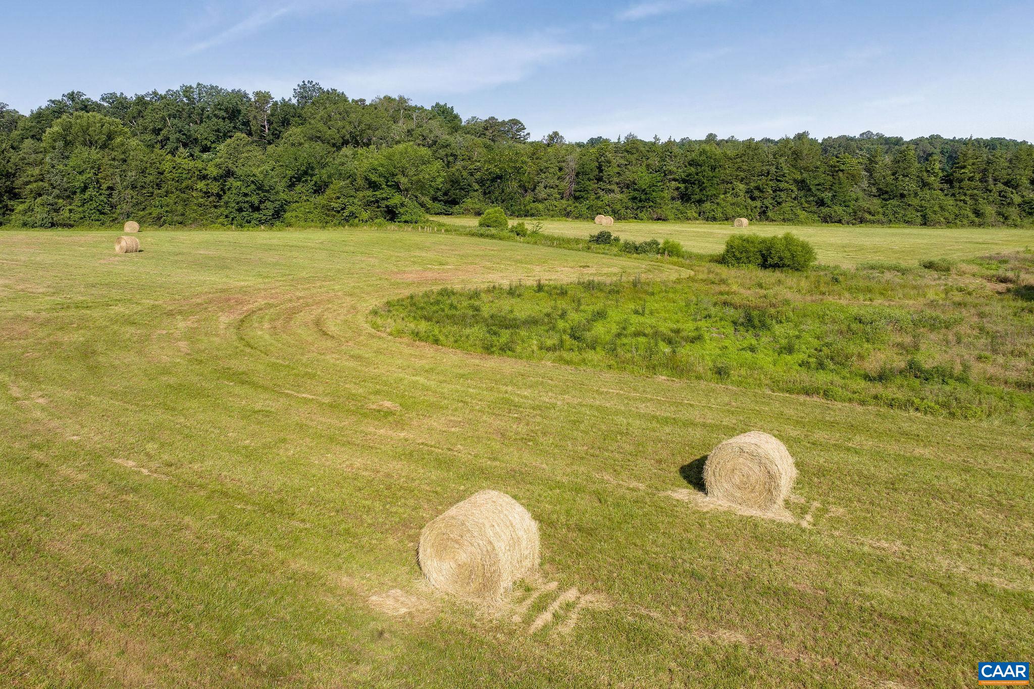 76.99 acres COLES ROLLING RD
