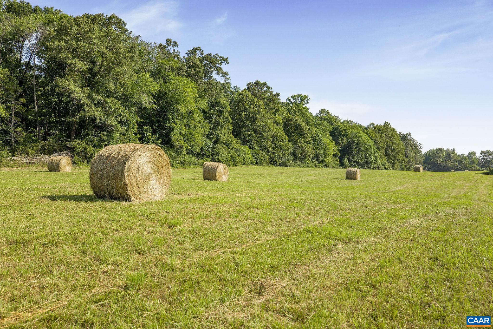 76.99 acres COLES ROLLING RD