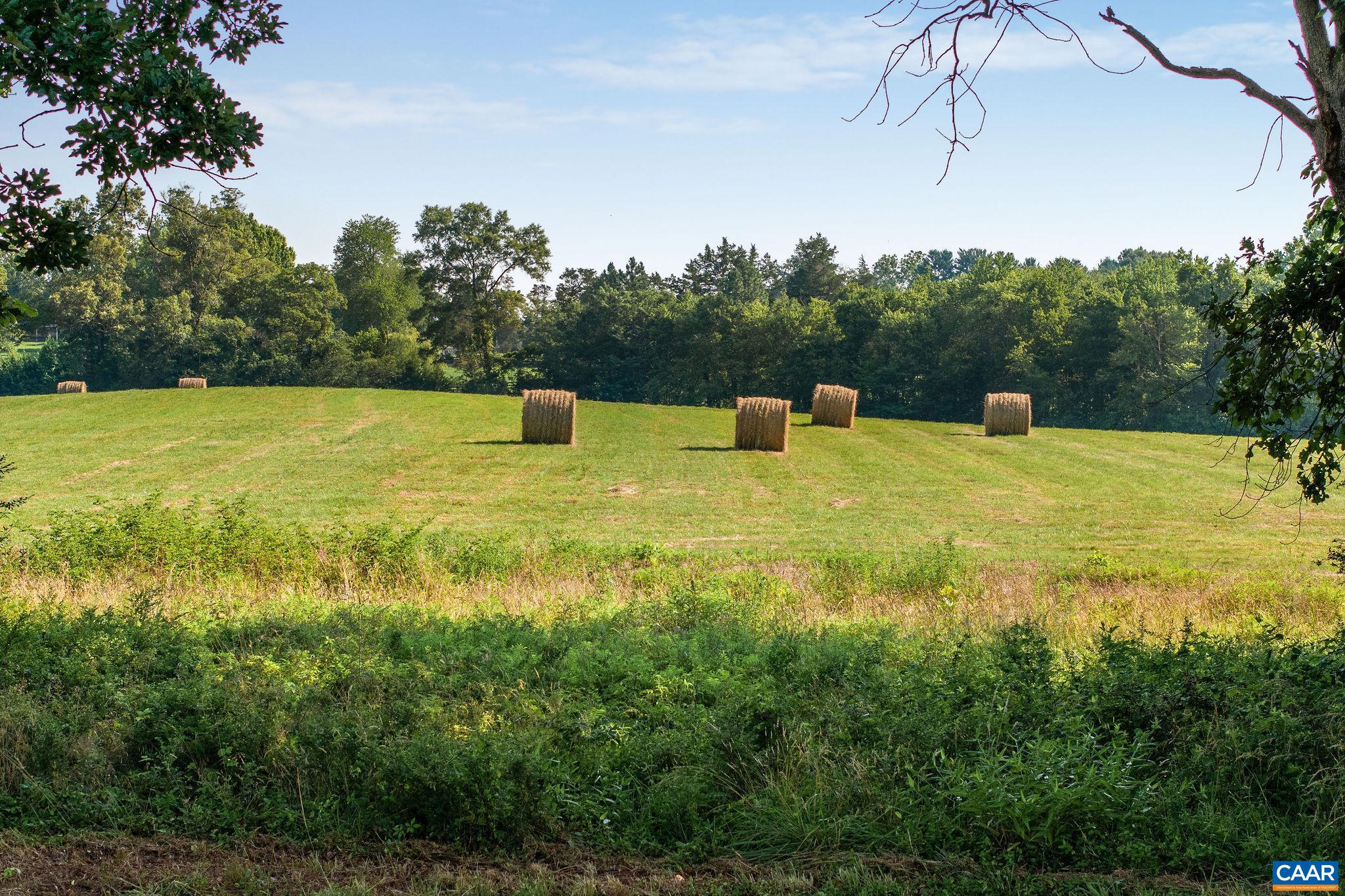 76.99 acres COLES ROLLING RD